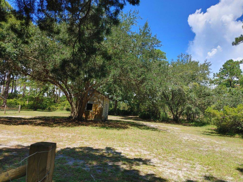 Carrabelle, FL 32322,2447 Hwy 98 W