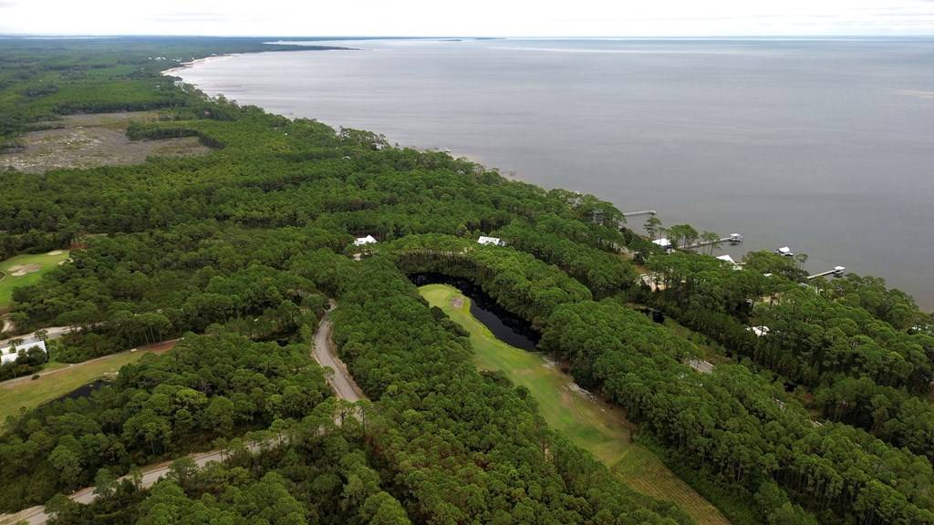 Carrabelle, FL 32323,154 White Pelican Way