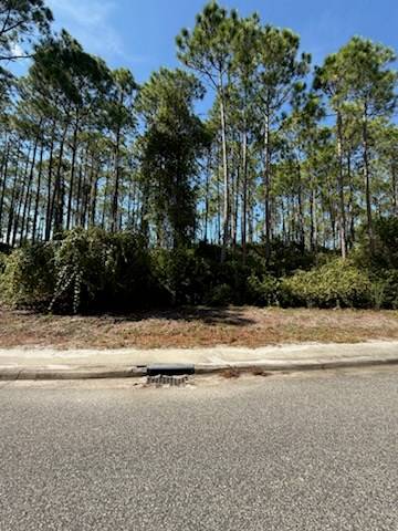 Carrabelle, FL 32323,171 Royal Tern Way