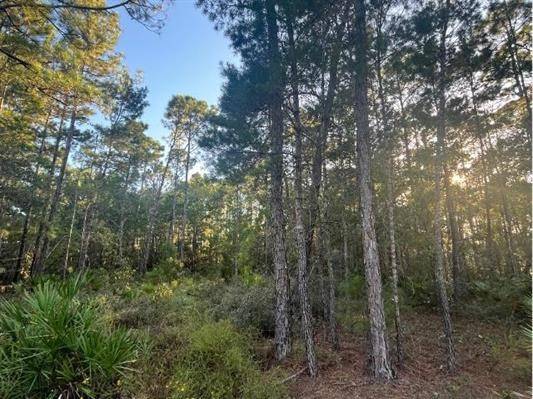 Carrabelle, FL 32322,315 Baywood Dr