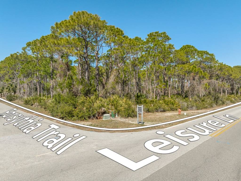 St. George Island, FL 32328,1601 Forsythia Trail
