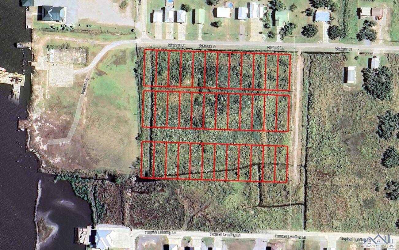 Grand Isle, LA 70358,TBD Walnut St