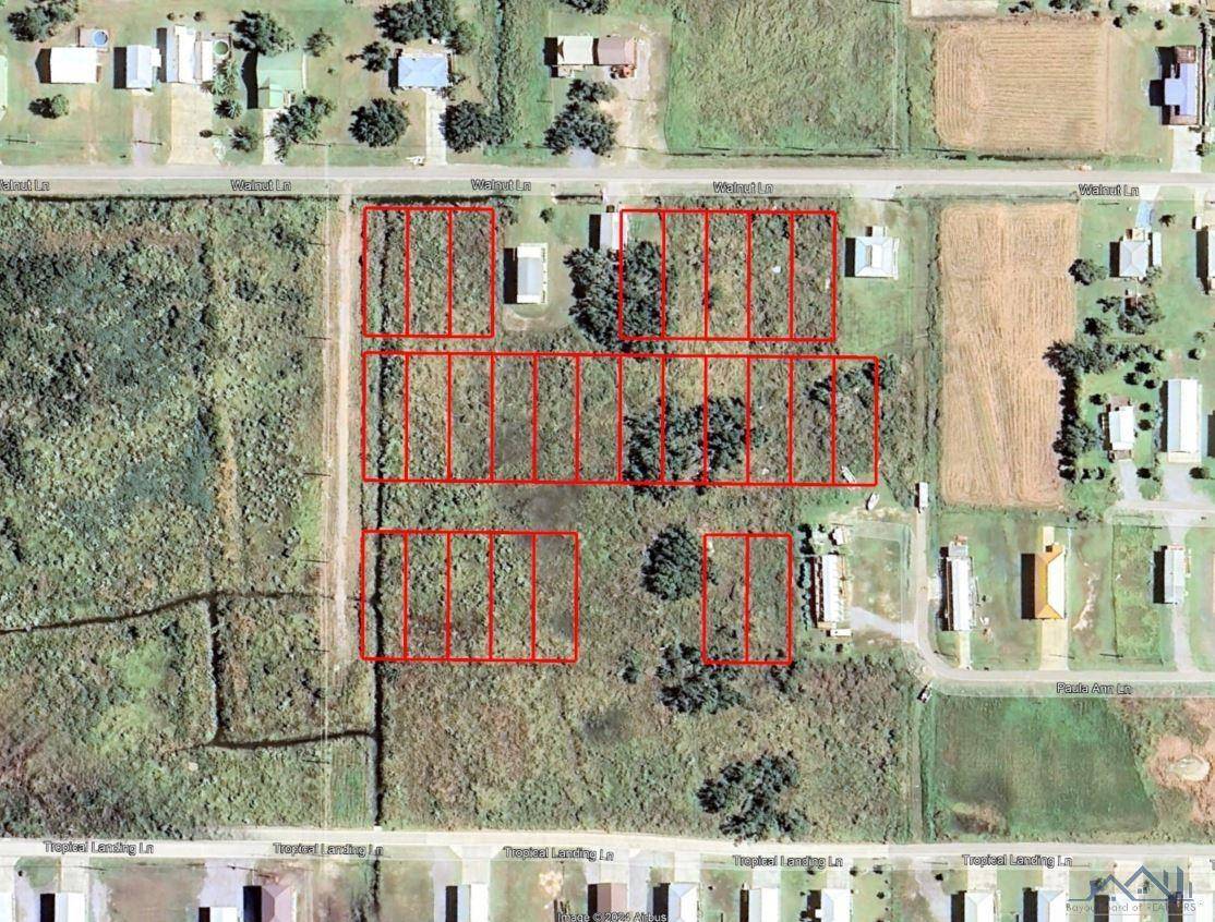 Grand Isle, LA 70358,TBD Walnut Ln