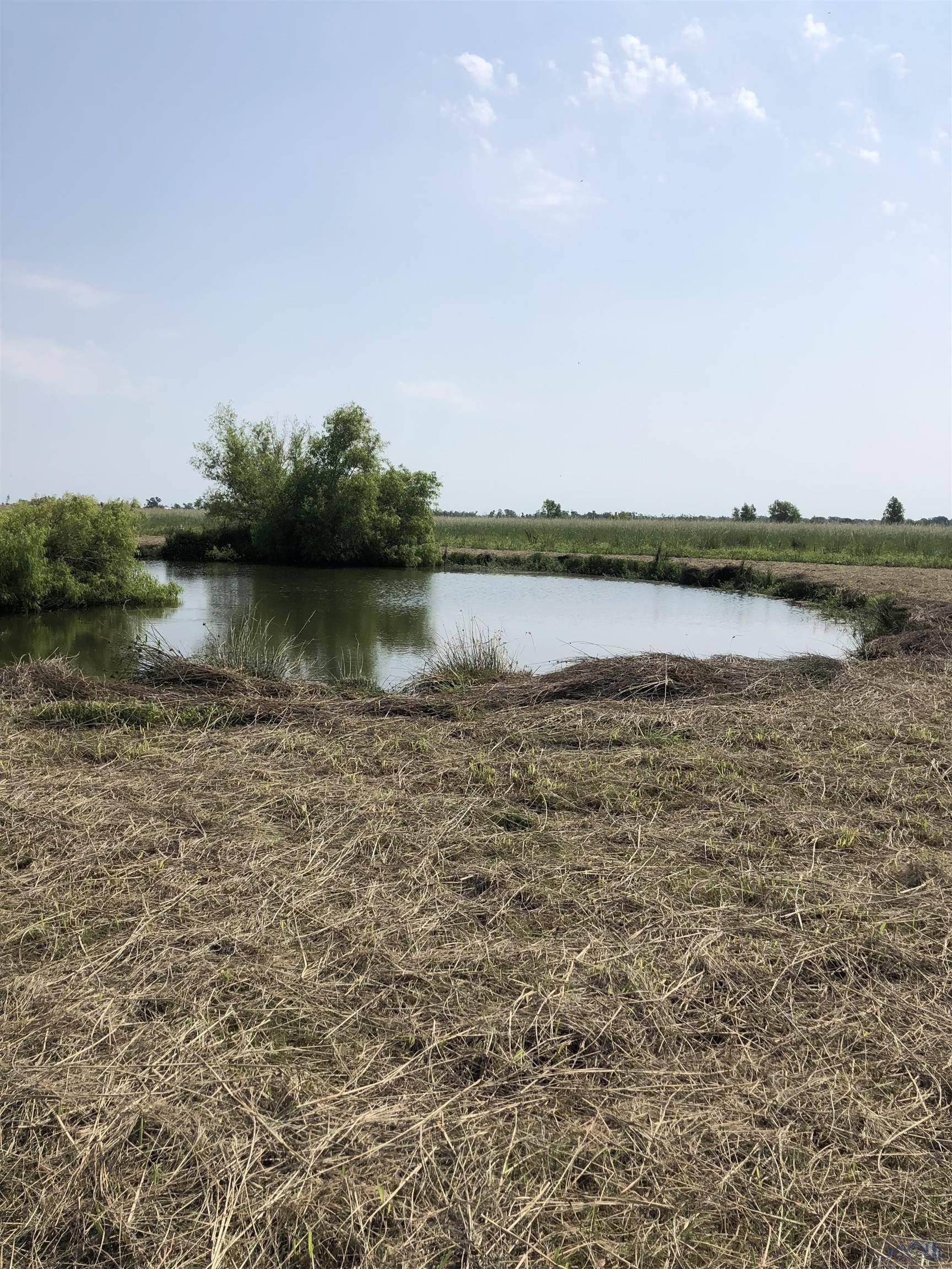 Raceland, LA 70394,Lot 3 Highway 652