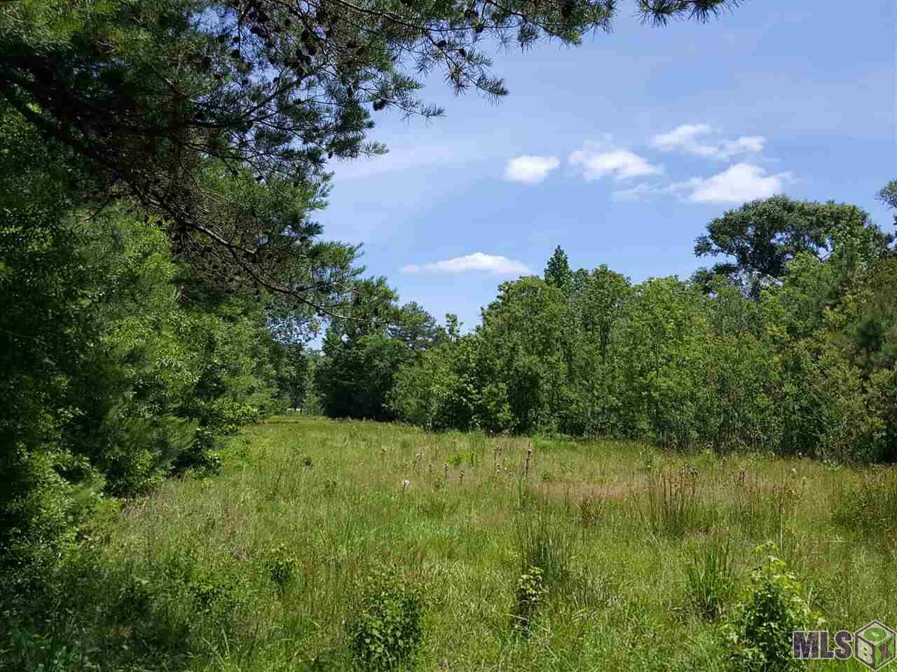 Clinton, LA 70722,Lot 6 La Hwy 432