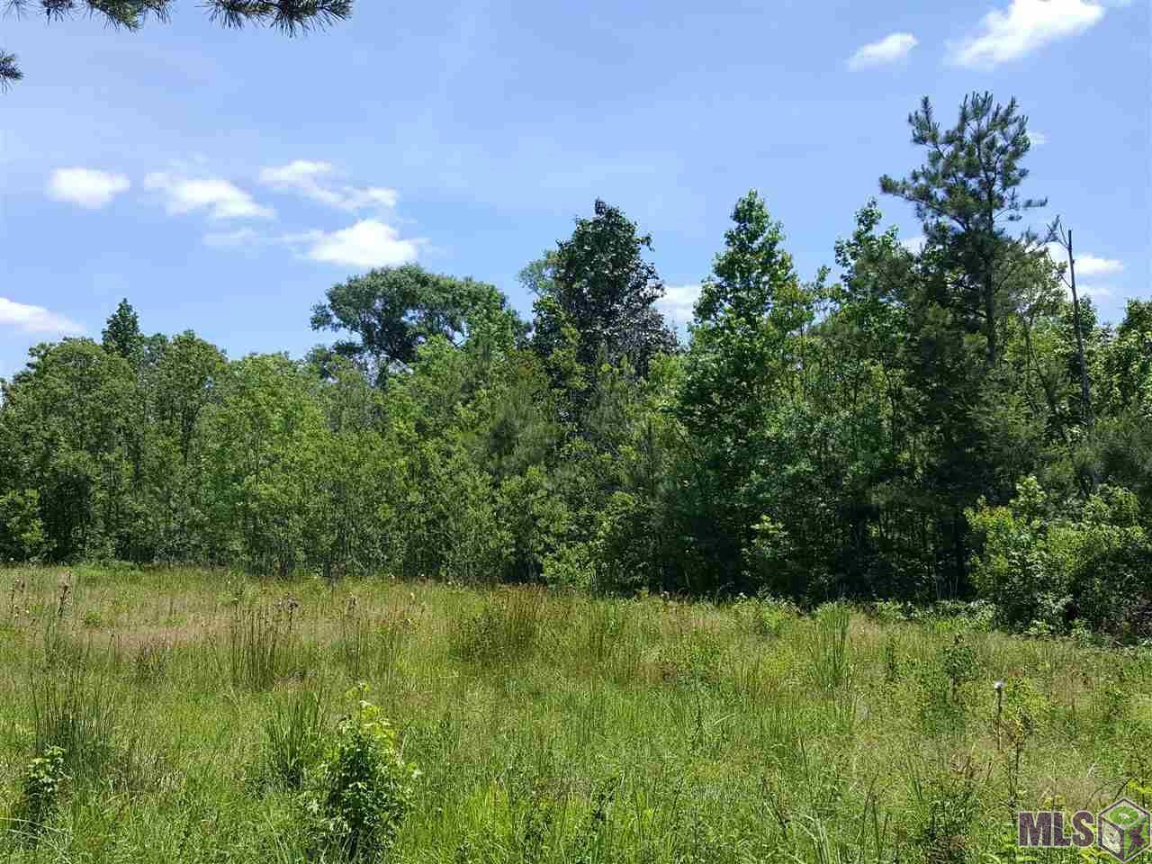 Clinton, LA 70722,Lot 6 La Hwy 432