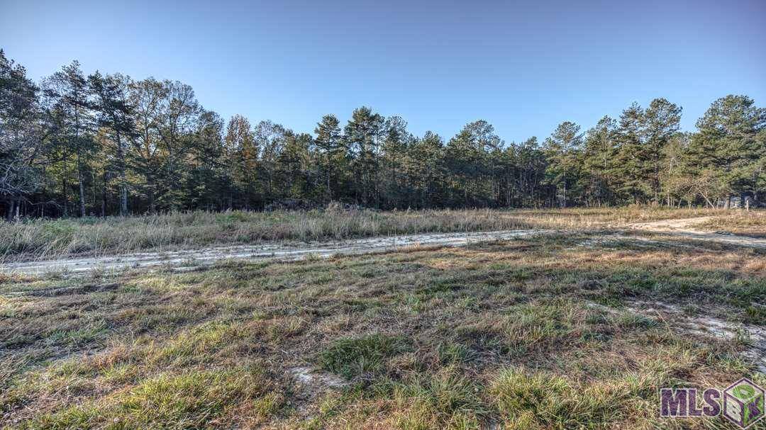 Walker, LA 70785,Lot 1D Weiss Rd