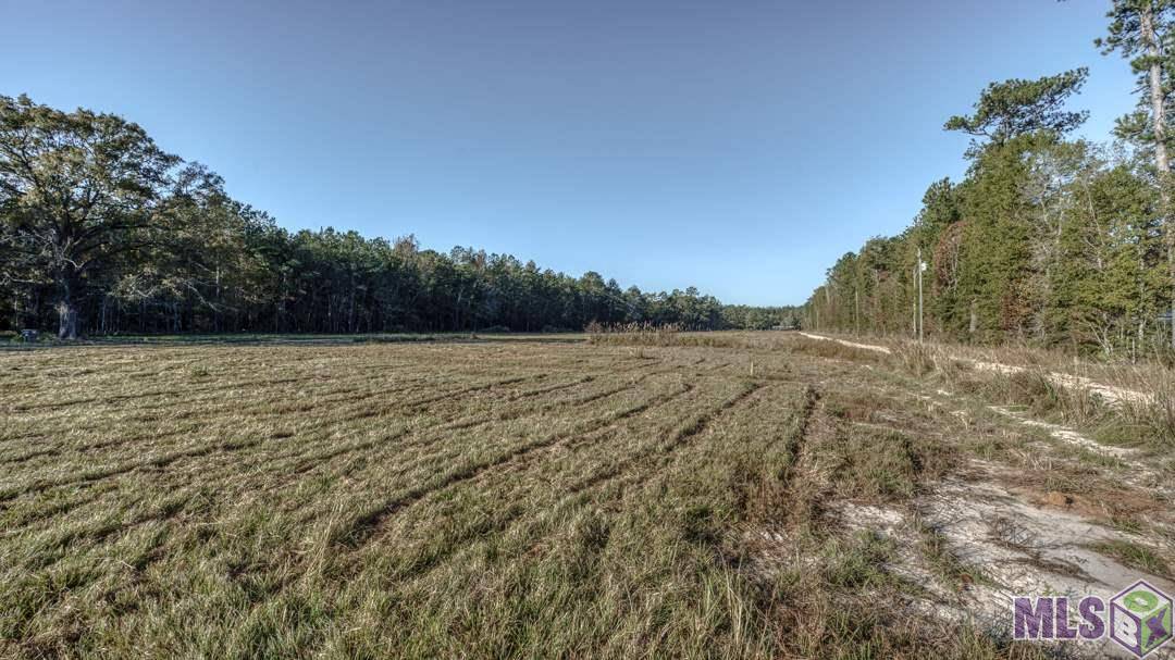 Walker, LA 70785,Lot 1D Weiss Rd