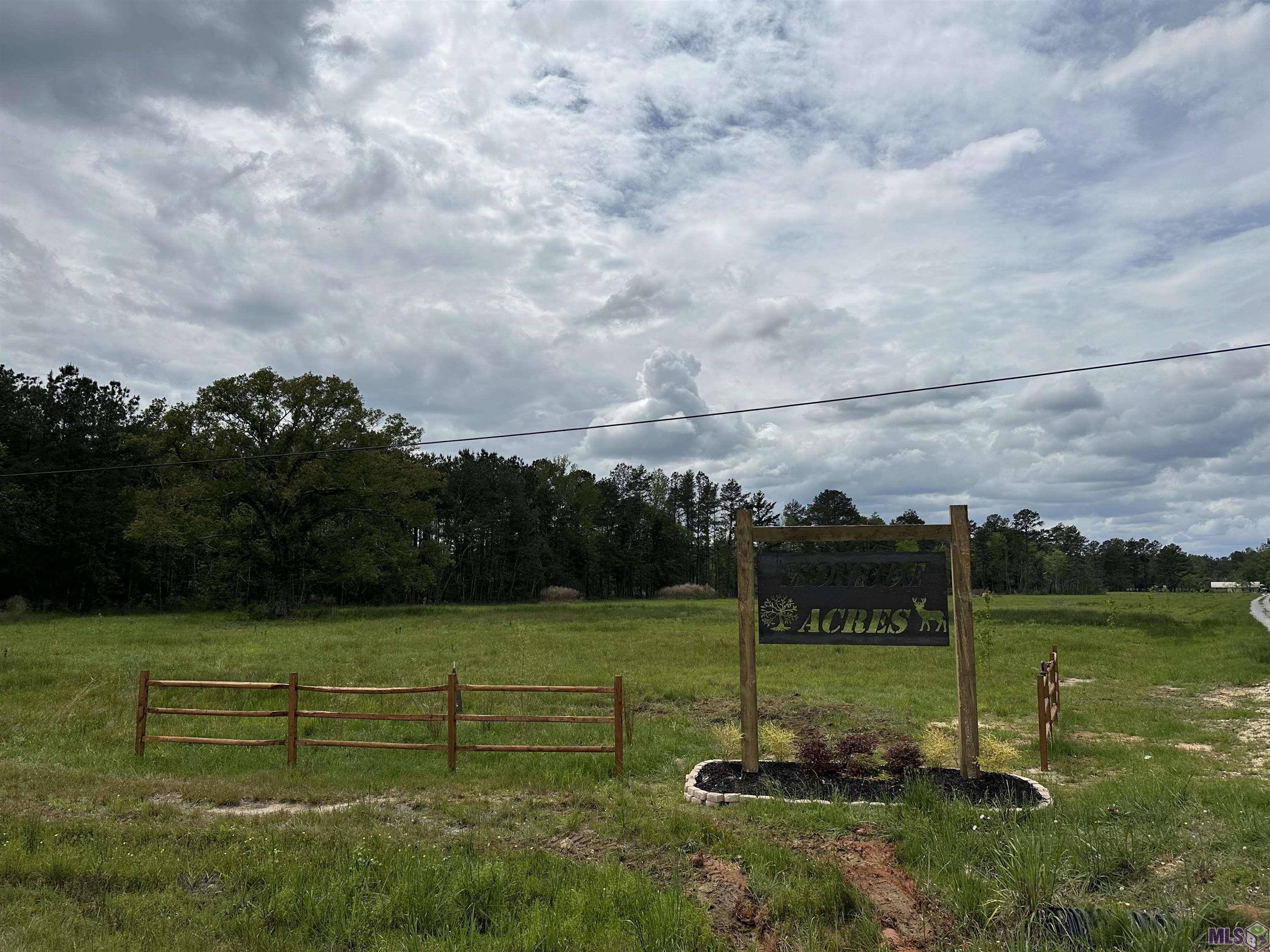 Walker, LA 70785,Lot 1D Weiss Rd