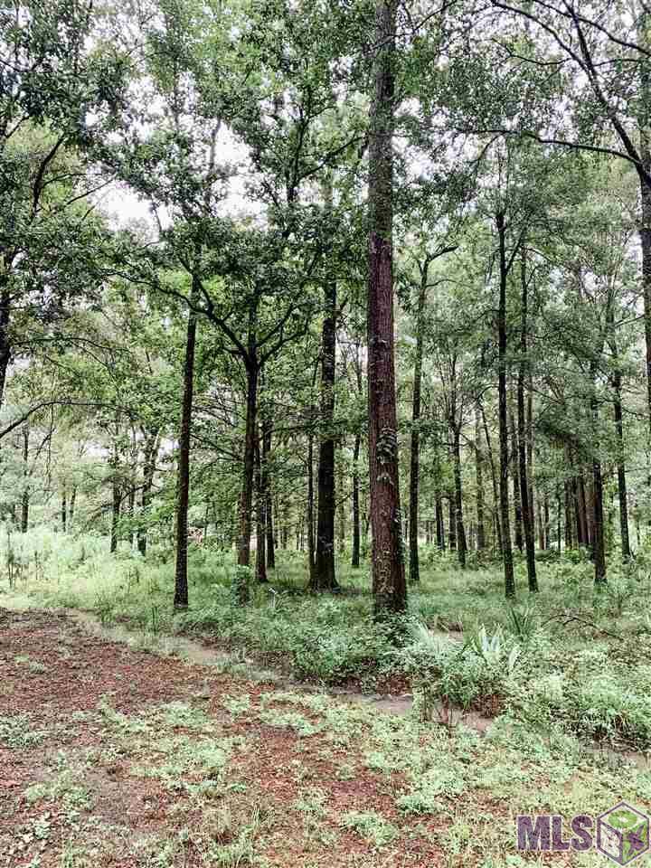 Denham Springs, LA 70726,Lot # F-2-B Buddy Ellis Rd