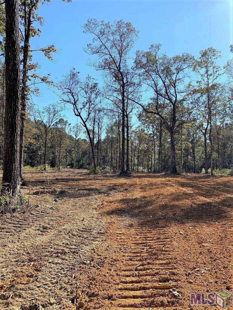 Clinton, LA 70722,1C La Hwy 63