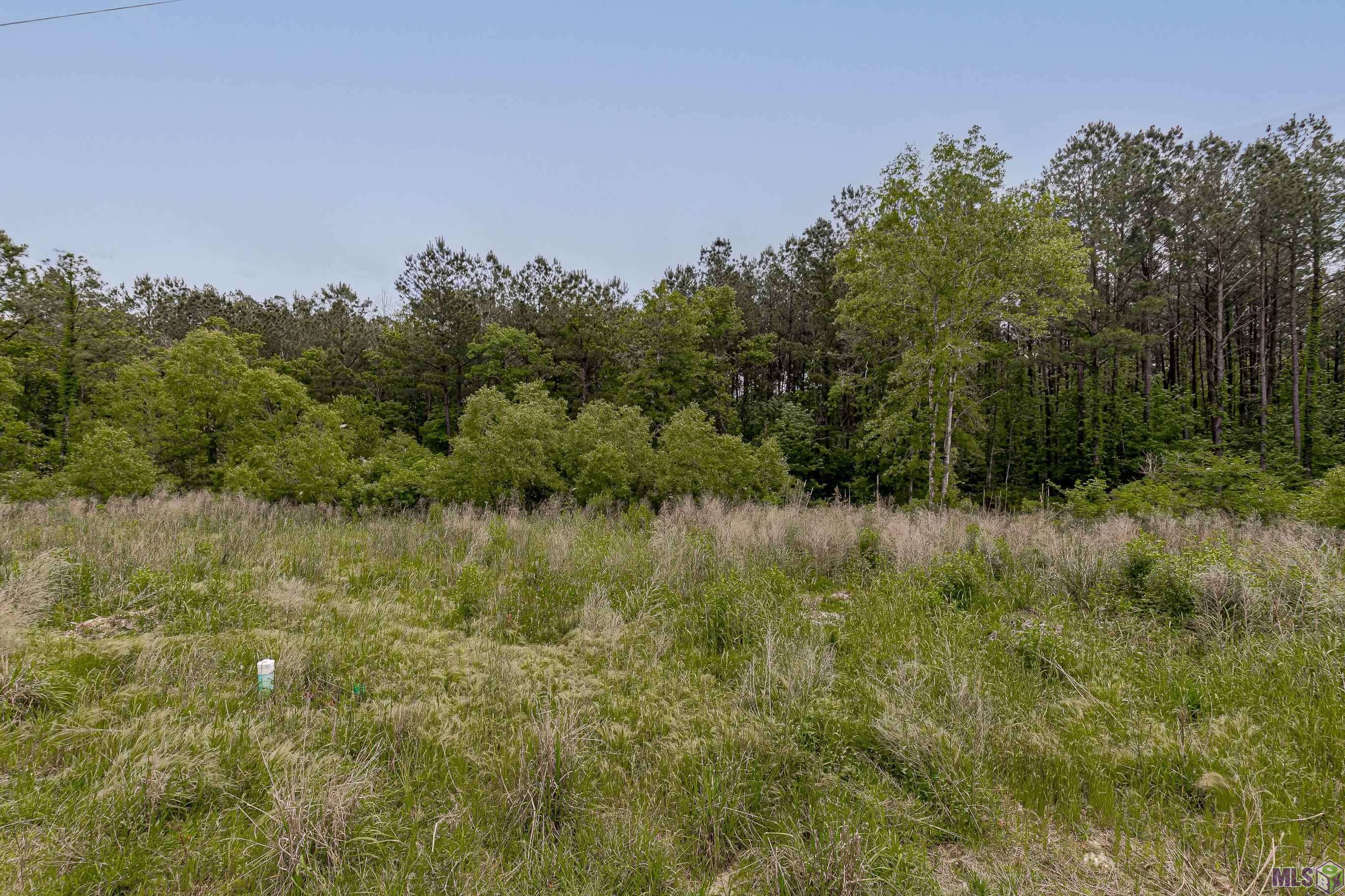 Livingston, LA 70754,Lot 5-B Texas St