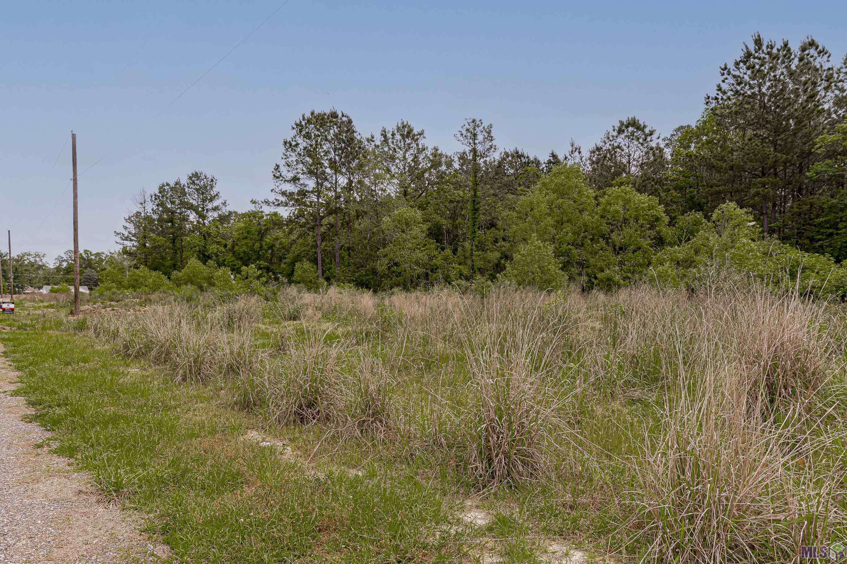 Livingston, LA 70754,Lot 5-B Texas St