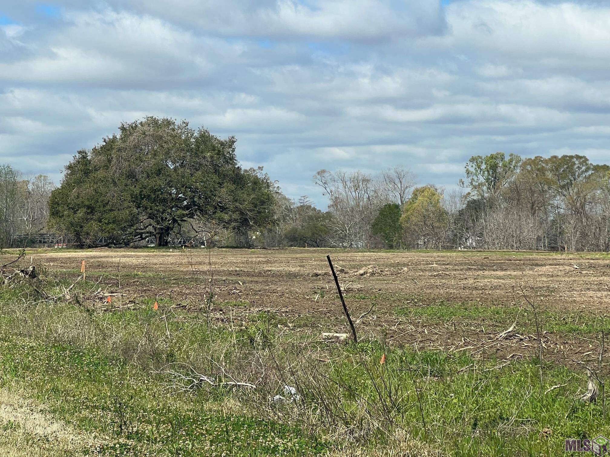 Prairieville, LA 70769,38248 Oakland Dr