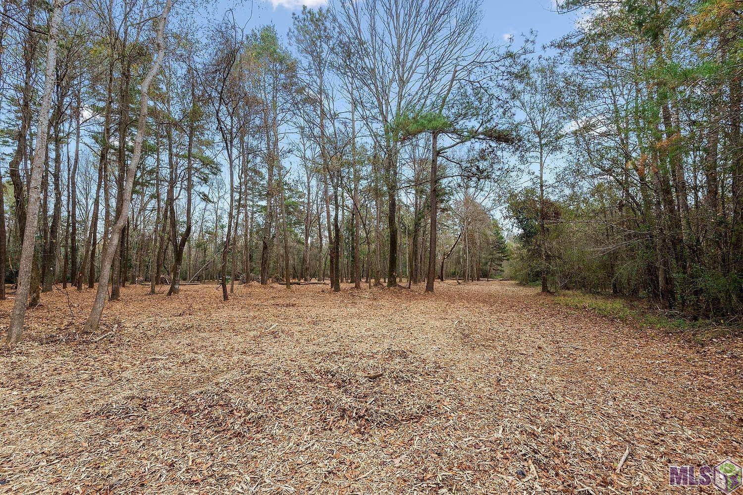 Walker, LA 70785,12918 Whitetail Ln