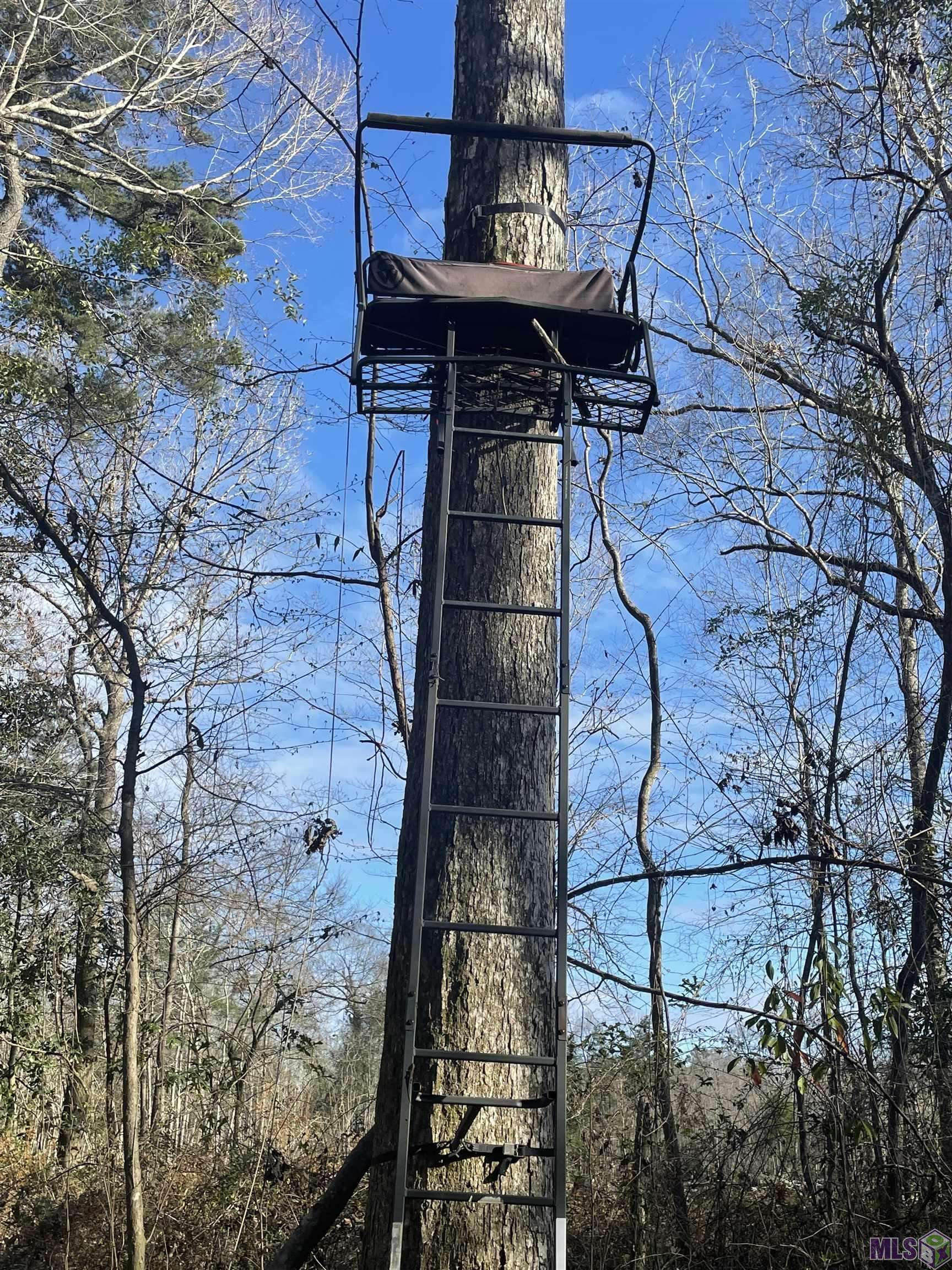 Greenwell Springs, LA 70739,23485 Greenwell Springs Rd