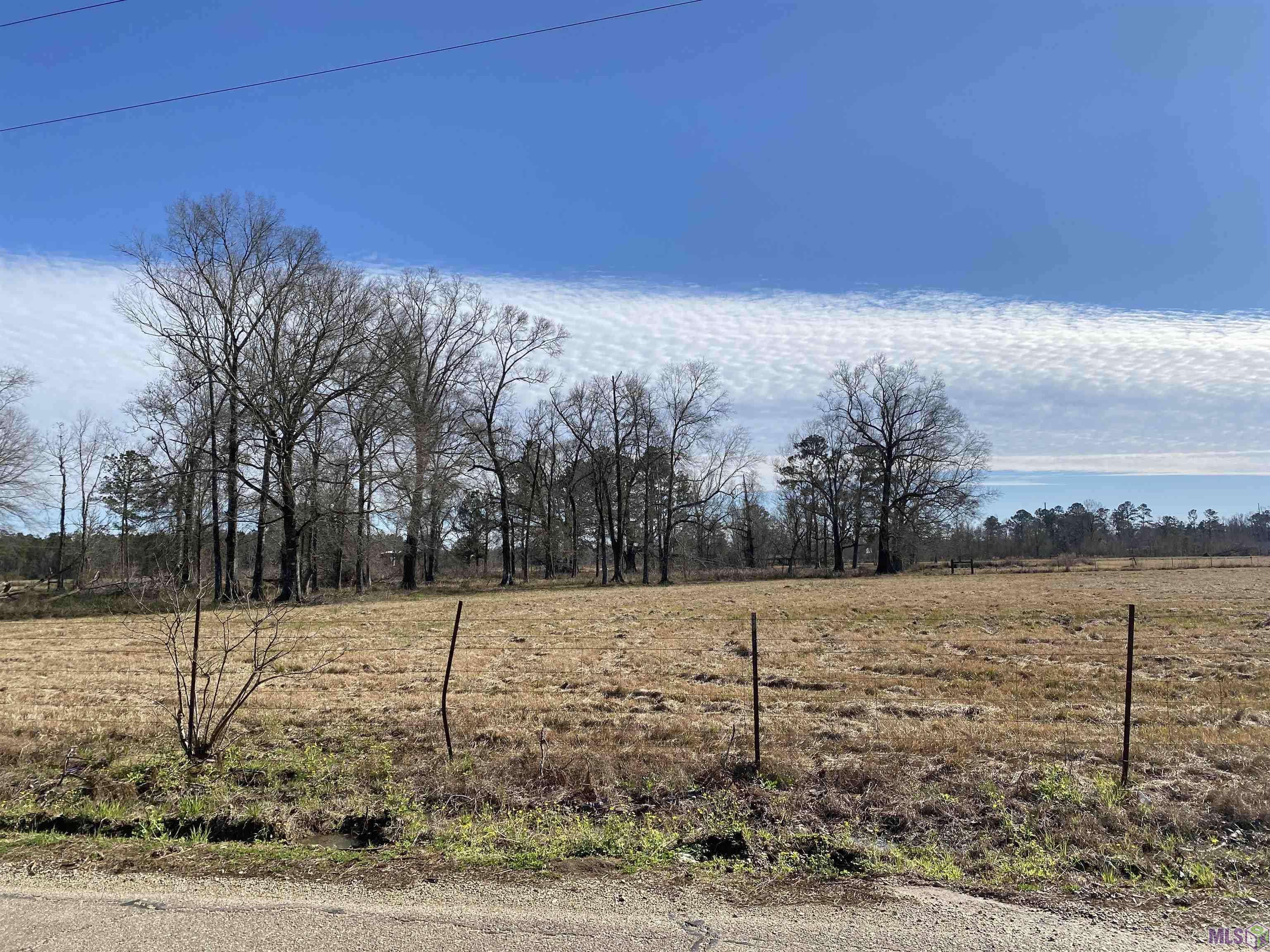 Holden, LA 70744,Tract A-3-B-1-E Onellion Rd