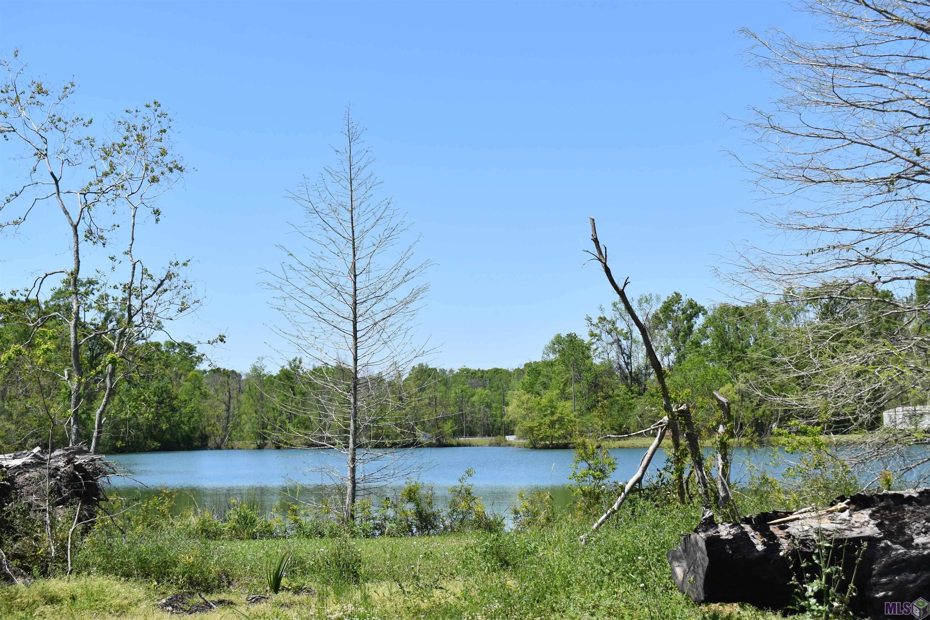 Sorrento, LA 70778,43596 Raymond Tullier Rd
