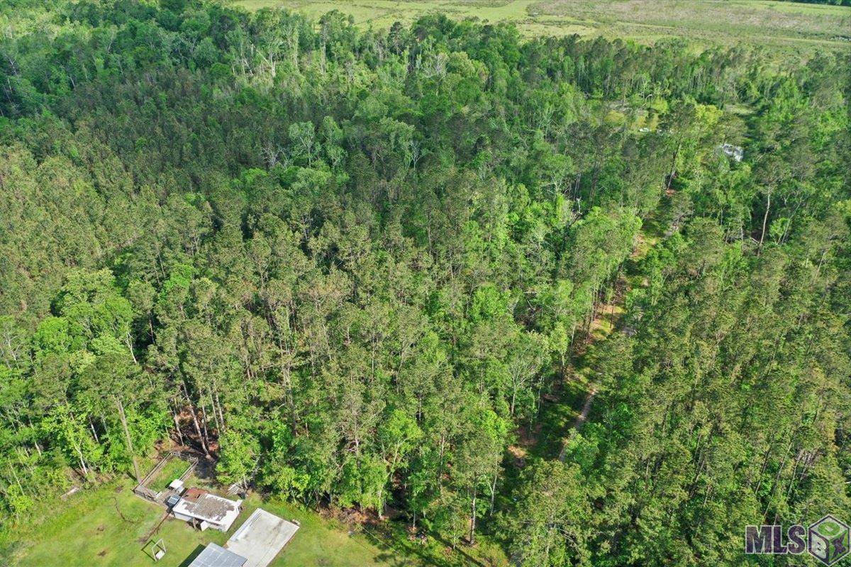 Springfield, LA 70462,Lot C-3 Abernathy Rd