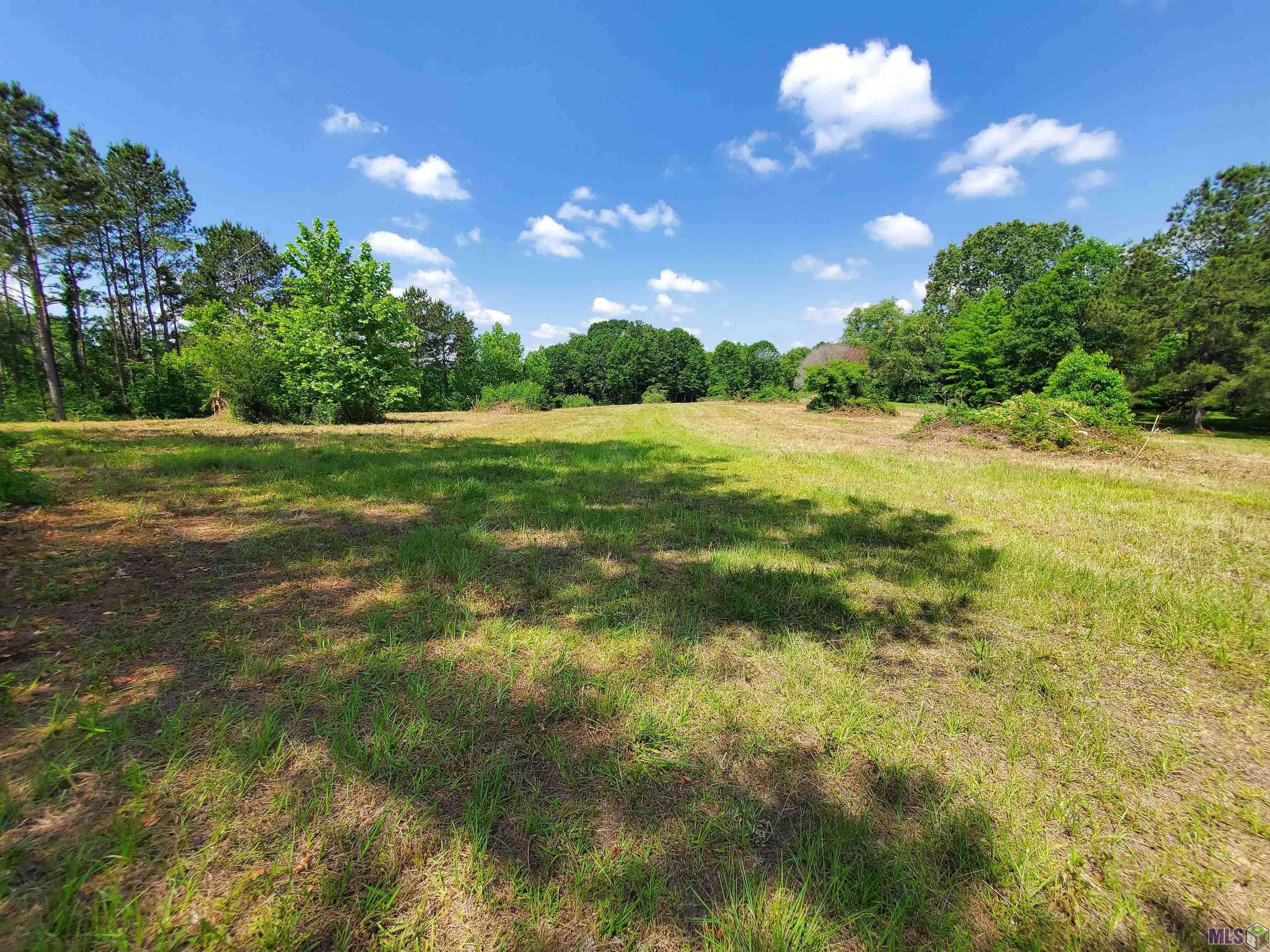 Clinton, LA 70722,Lot 38 N Hillside Dr