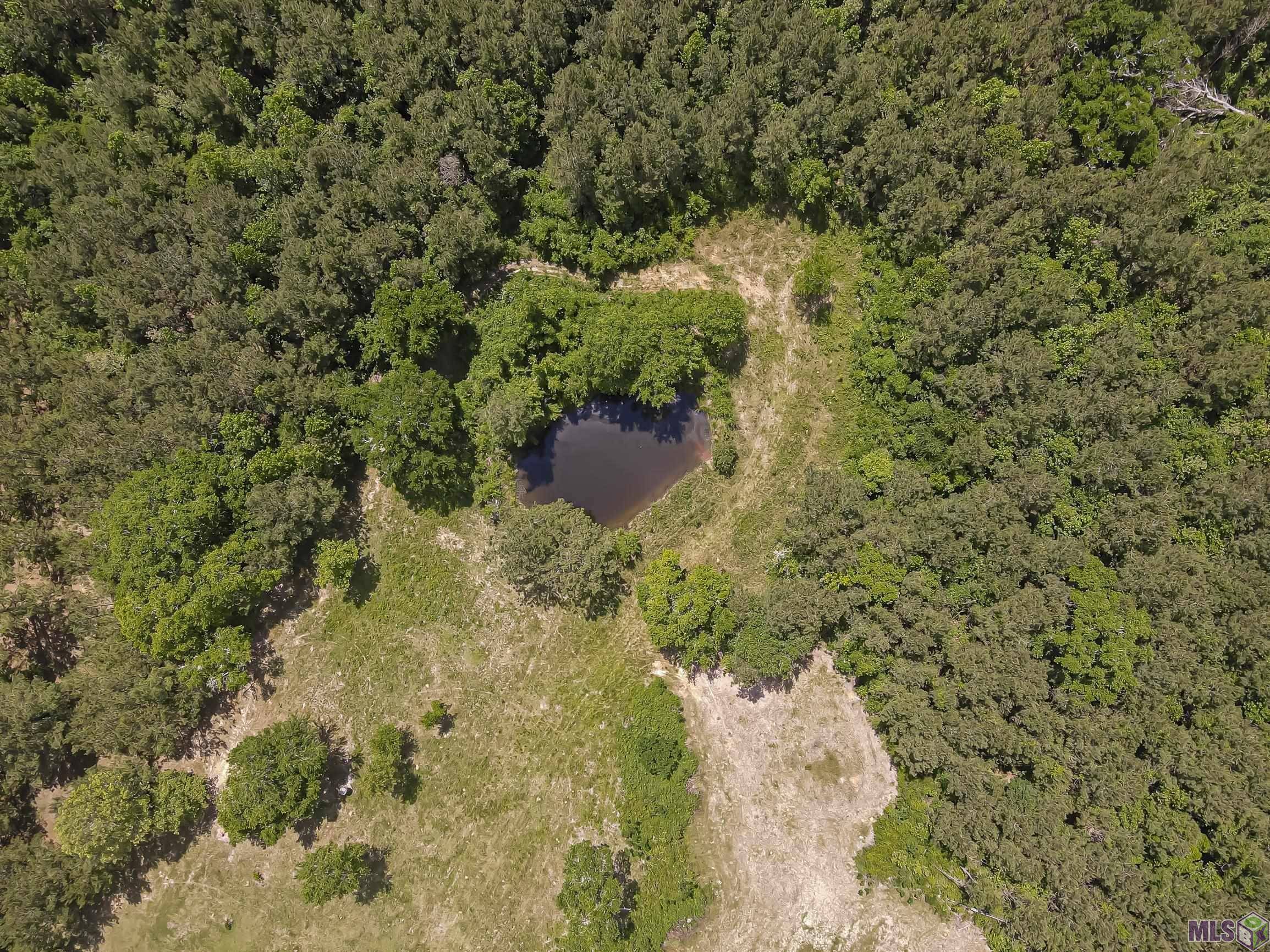 Clinton, LA 70722,14046 M Johnson Ln