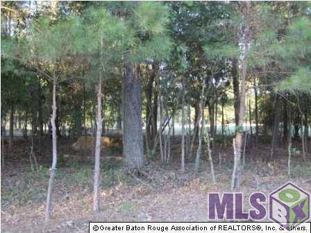 St Francisville, LA 70775,13841 Oakley Ln