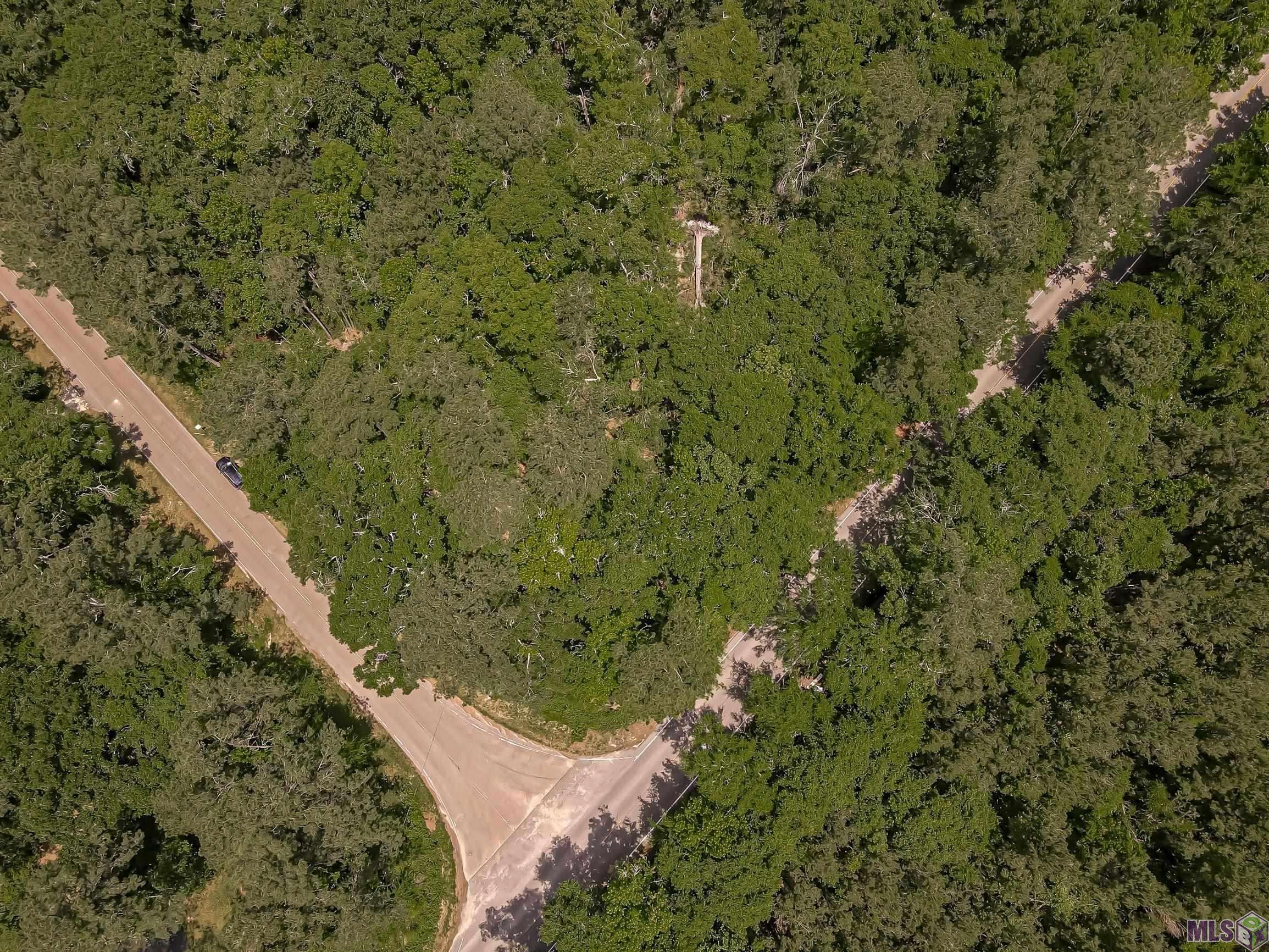 Greenwell Springs, LA 70739,Lot D1 Greenwell Springs Rd