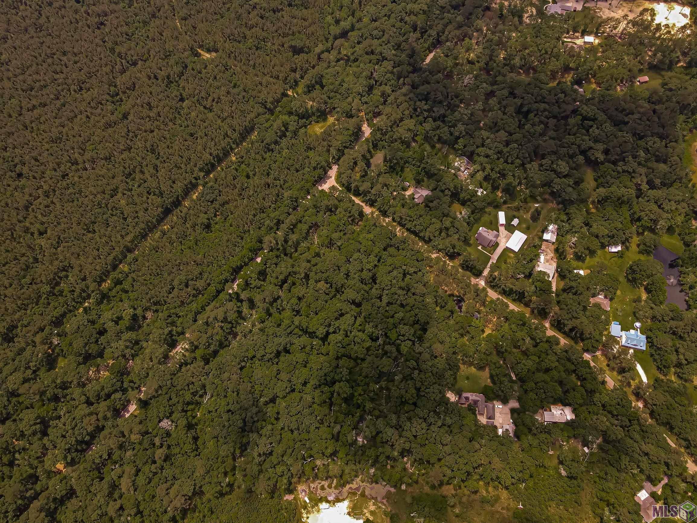 Greenwell Springs, LA 70739,Lot D5 Greenwell Springs Rd