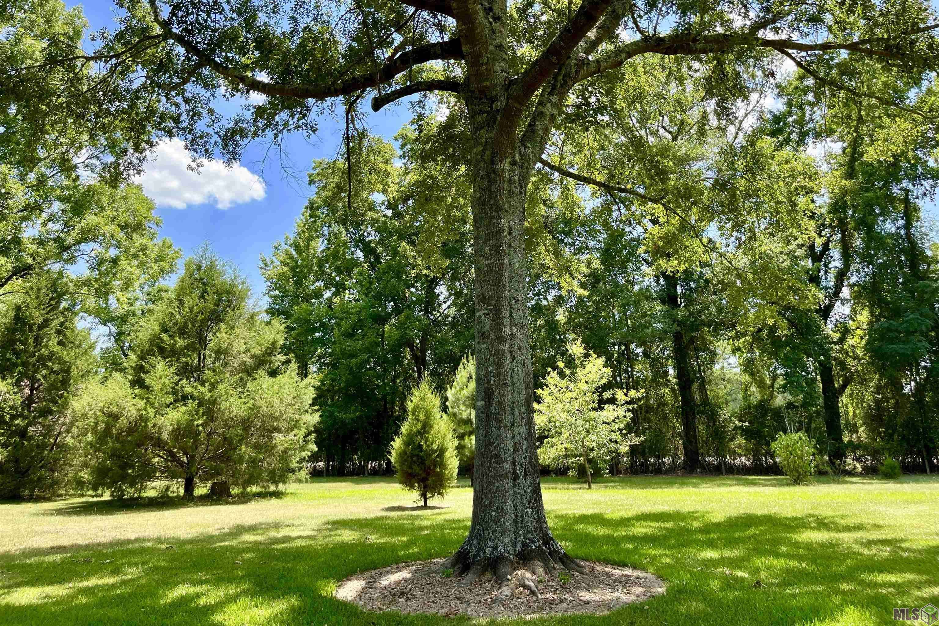 Franklinton, LA 70438,31802 Hwy 25