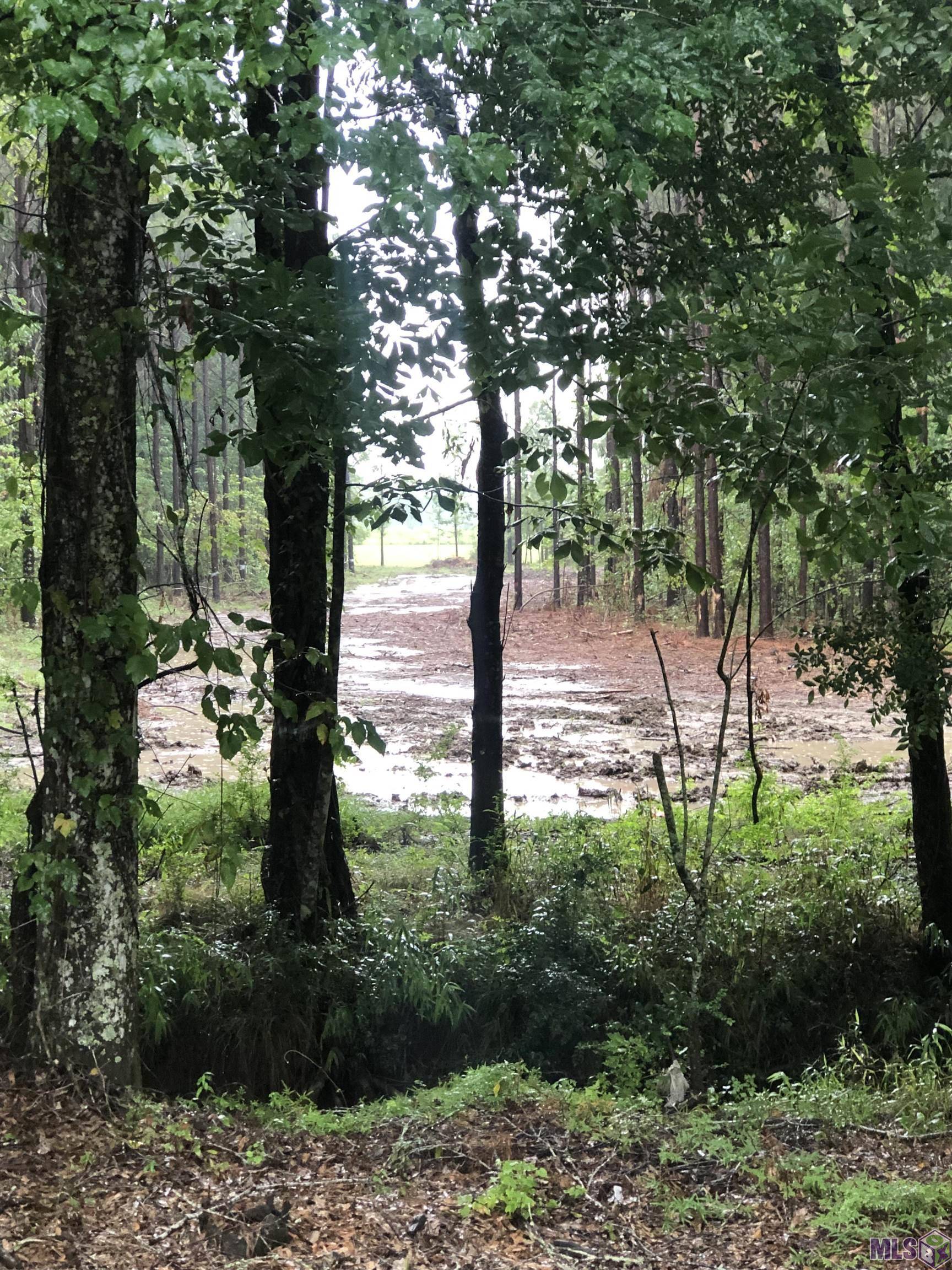 Zachary, LA 70791,TBD Huggins Ln