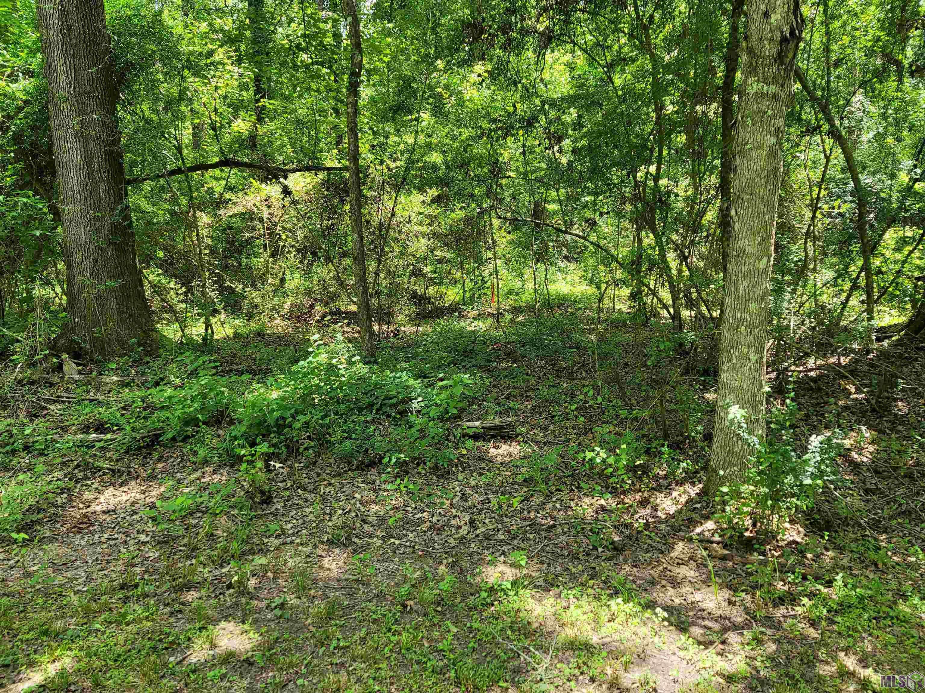 Zachary, LA 70748,720 Sandy Springs Ln