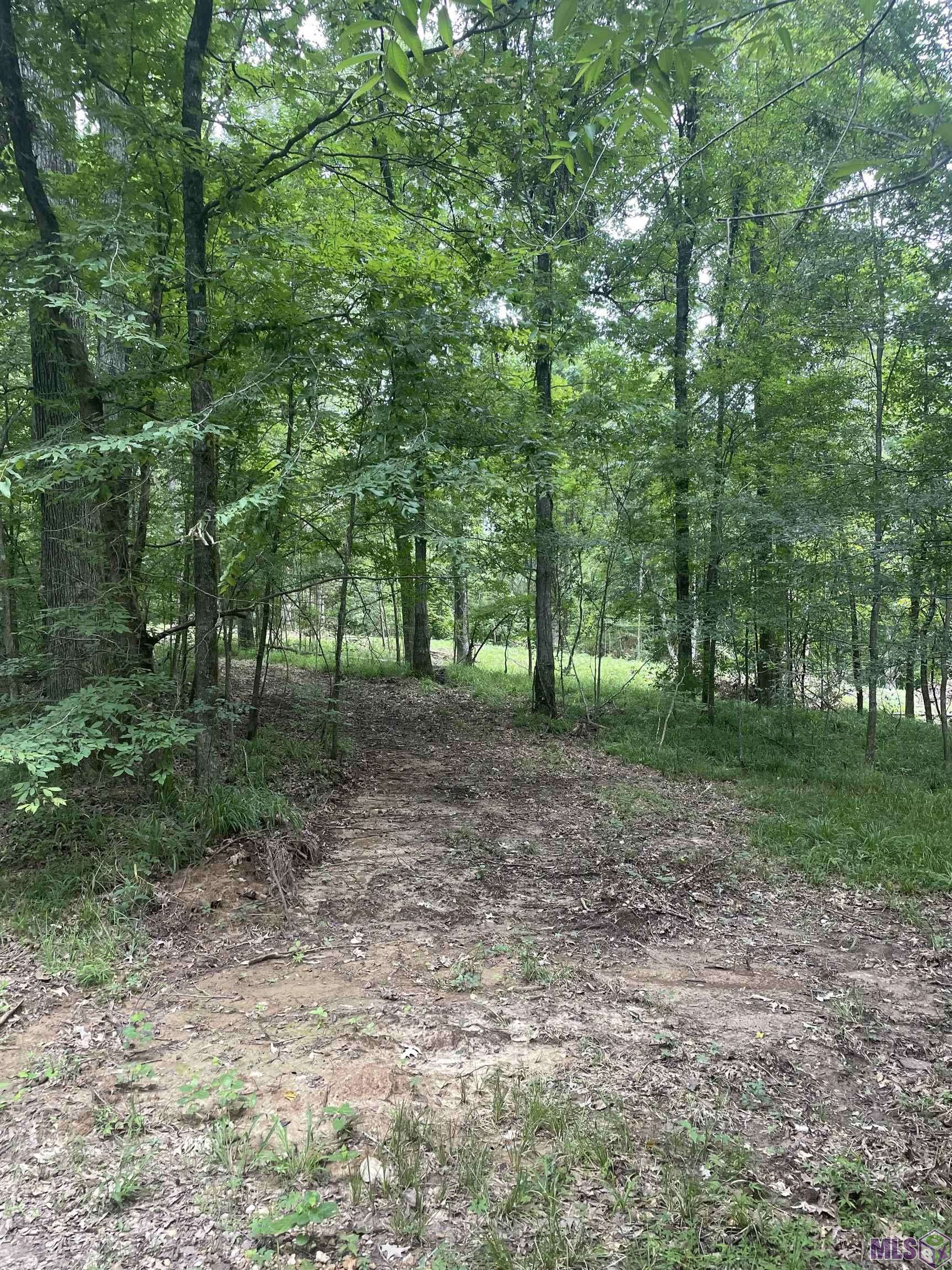 St Francisville, LA 70775,Lot B-2-A Pittman Rd