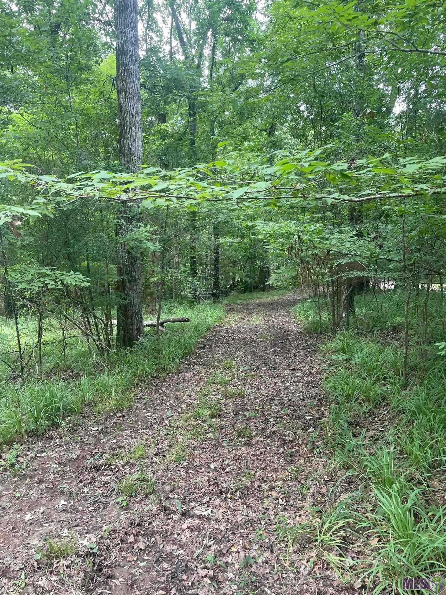 St Francisville, LA 70775,Lot B-2-A Pittman Rd