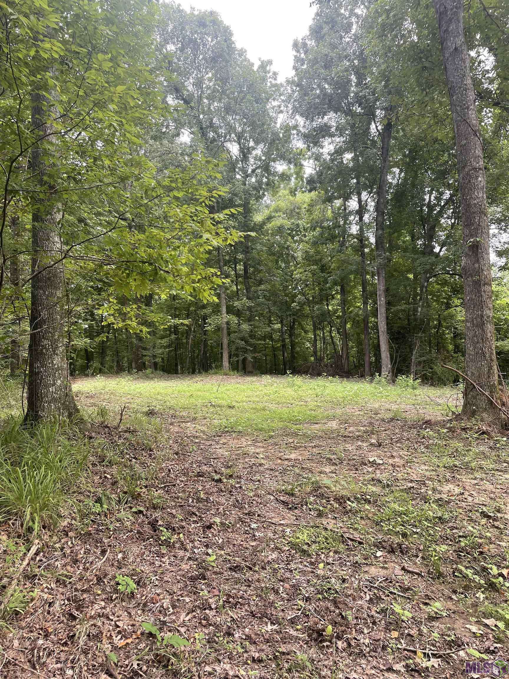 St Francisville, LA 70775,Lot B-2-A Pittman Rd