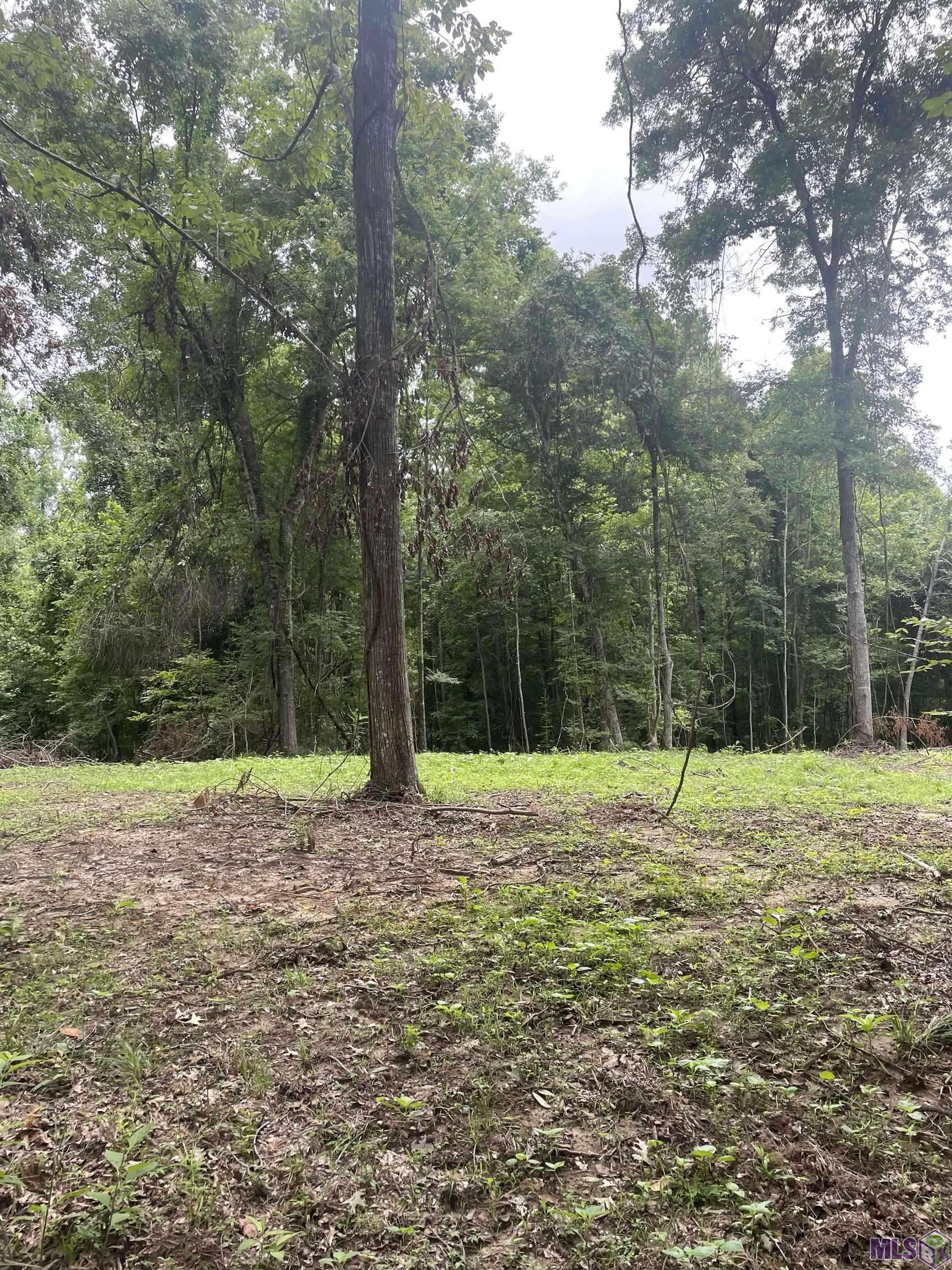 St Francisville, LA 70775,Lot B-2-A Pittman Rd