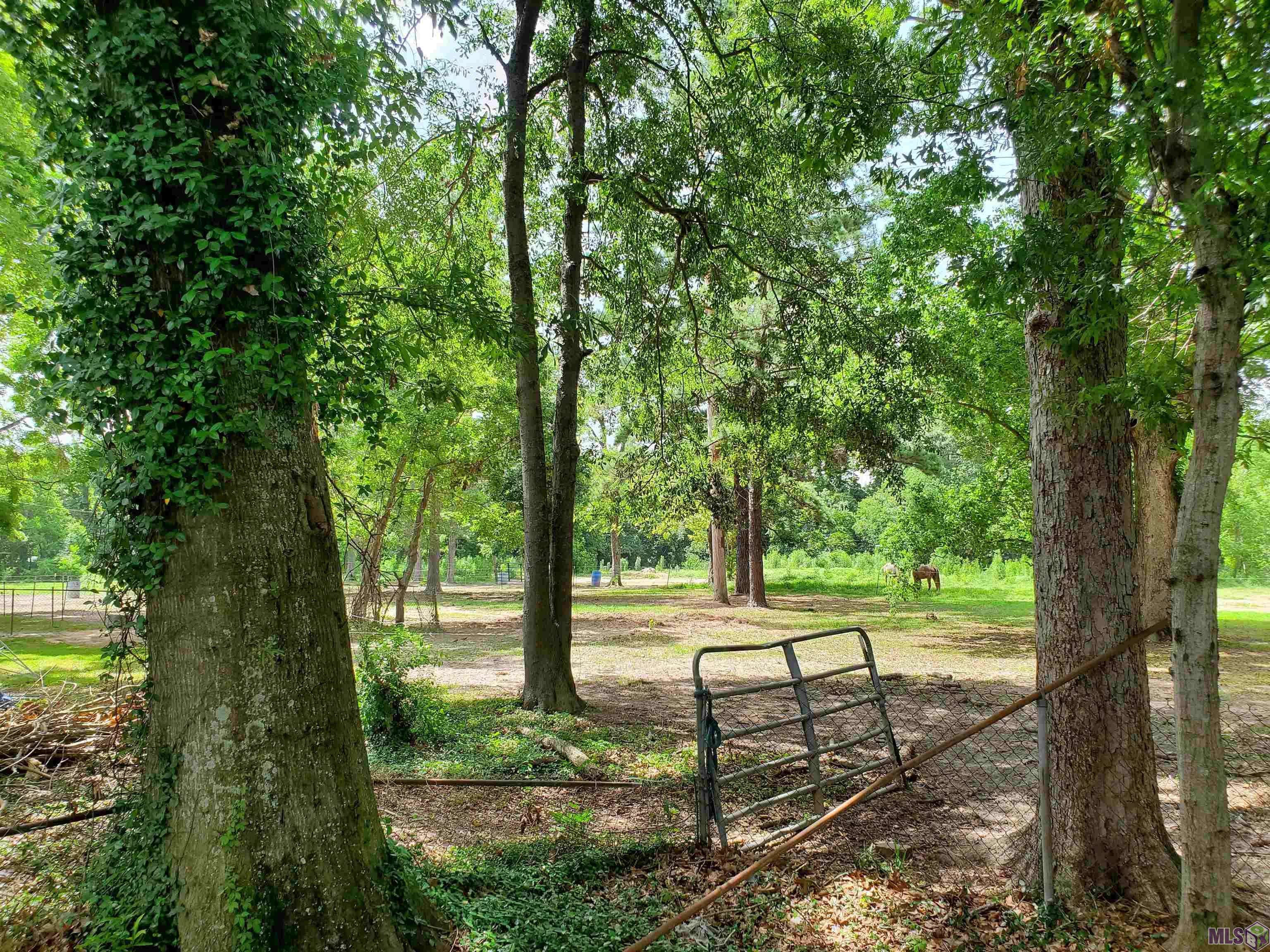 Baton Rouge, LA 70807,Lot 15pt Rosenwald Rd