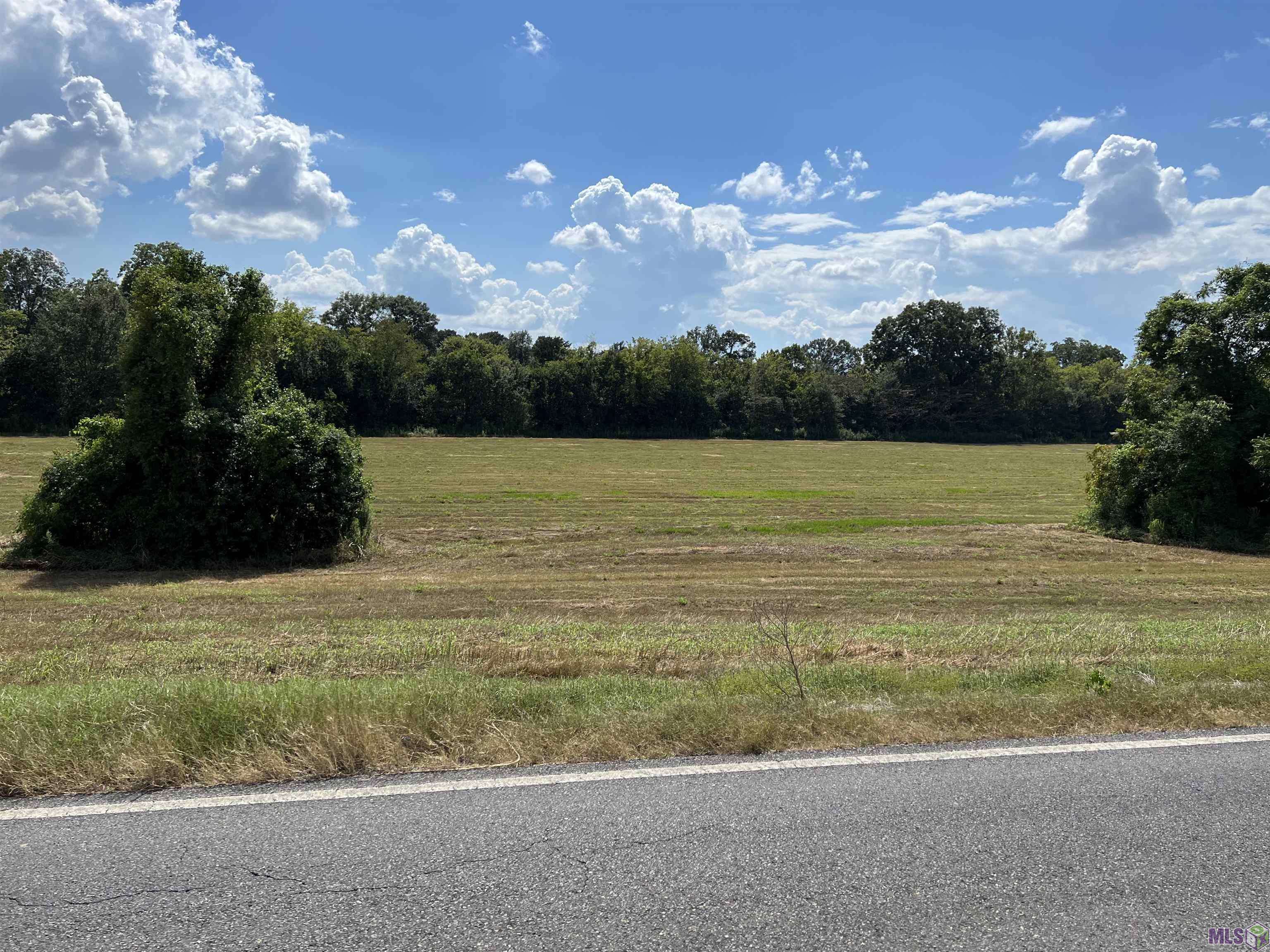Jarreau, LA 70749,19.12 ac Island Rd