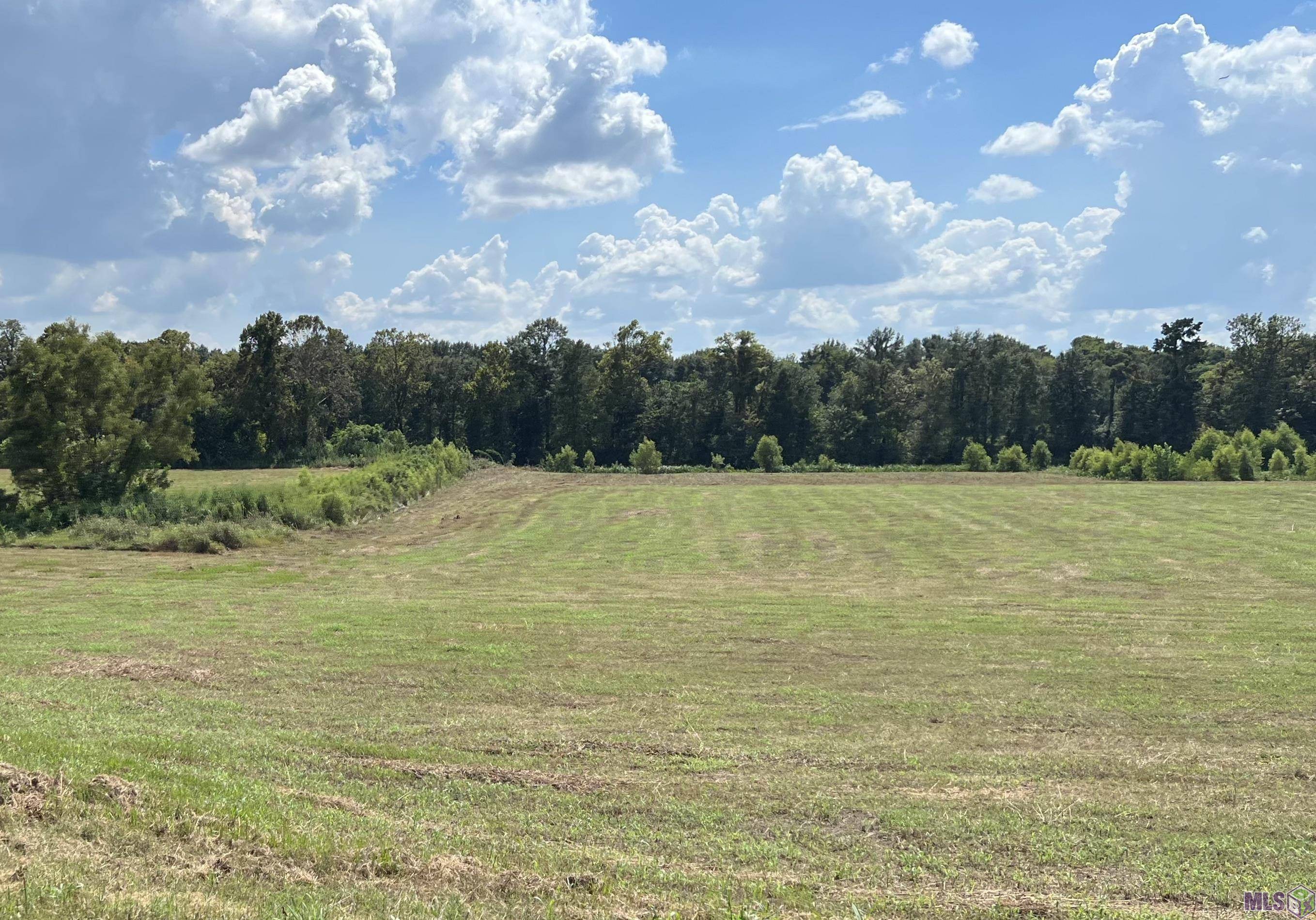 Jarreau, LA 70749,19.12 ac Island Rd