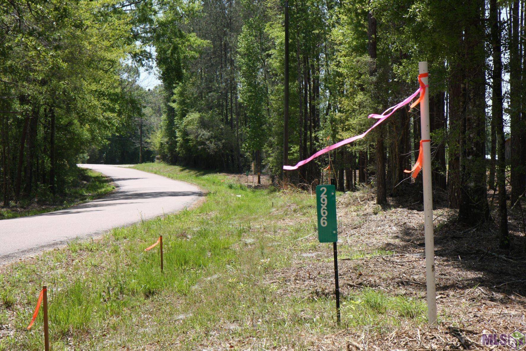 Clinton, LA 70722,2950 Nesom Rd