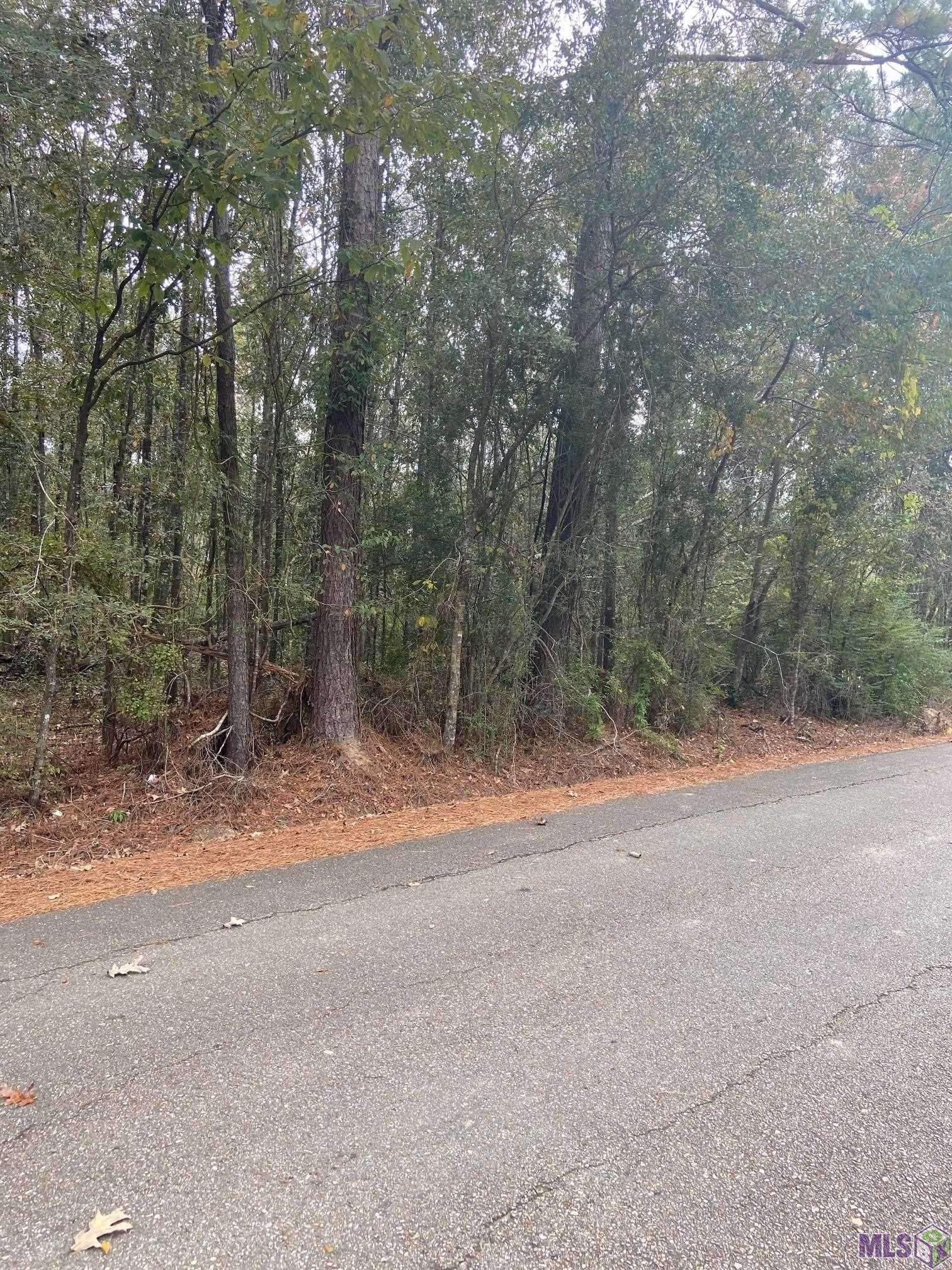 Maurepas, LA 70449,Lewis Rd