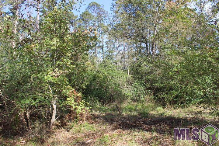 Independence, LA 70443,La Hwy 43