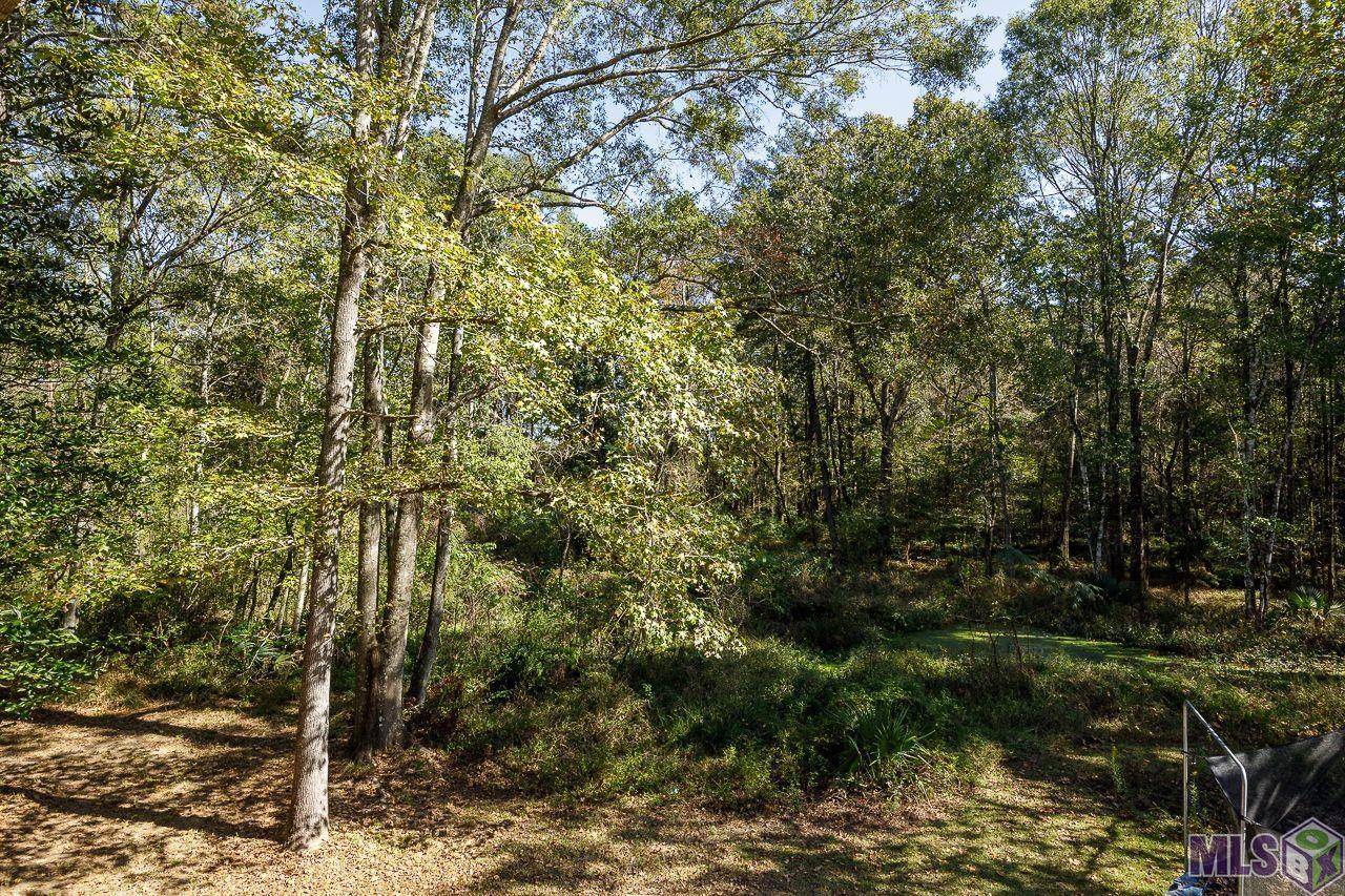 Pride, LA 70770,15210 El Ranchitos Ave