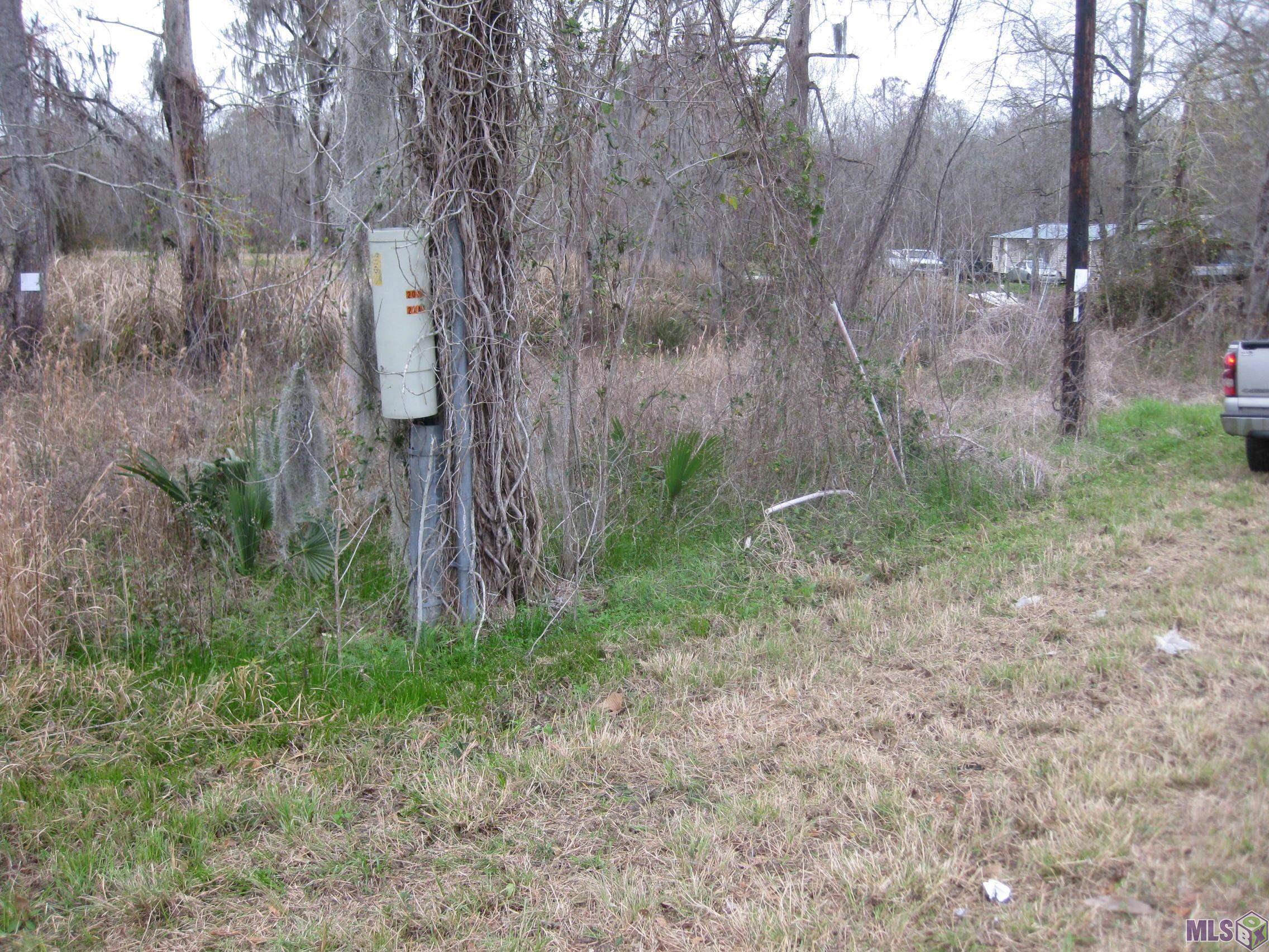 Maurepas, LA 70449,Lot # 2A & 2B La Hwy 22