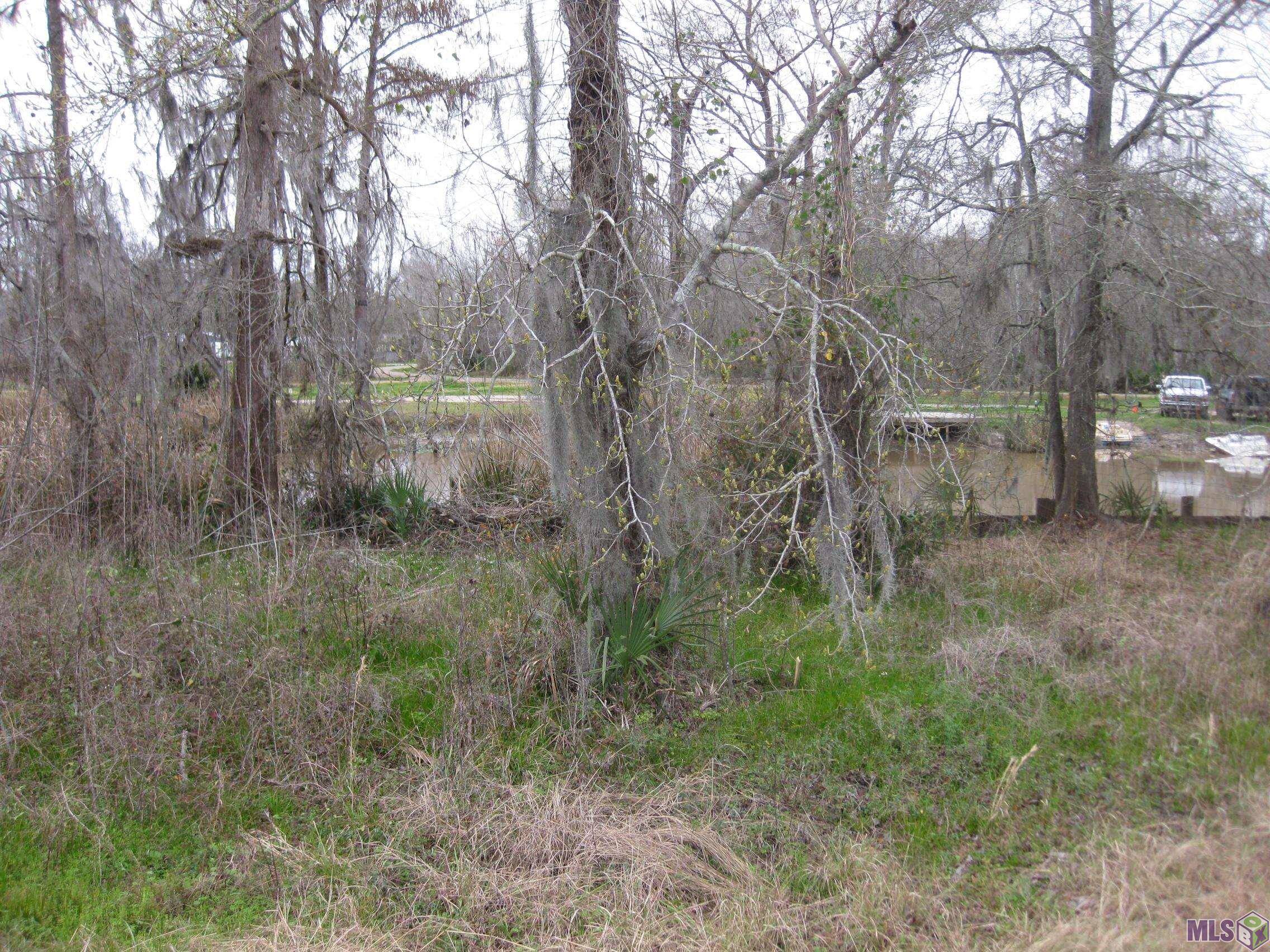 Maurepas, LA 70449,Lot # 2A & 2B La Hwy 22