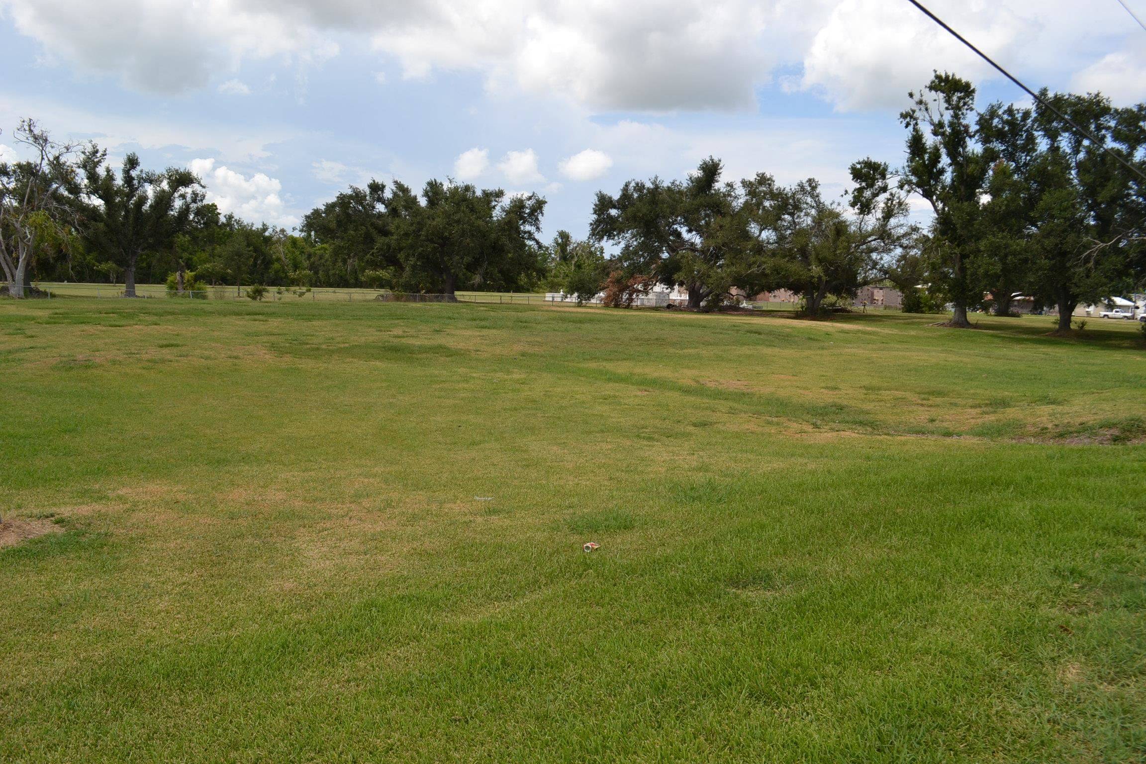 Golden Meadow, LA 70357,LOT 1 Oakridge Dr