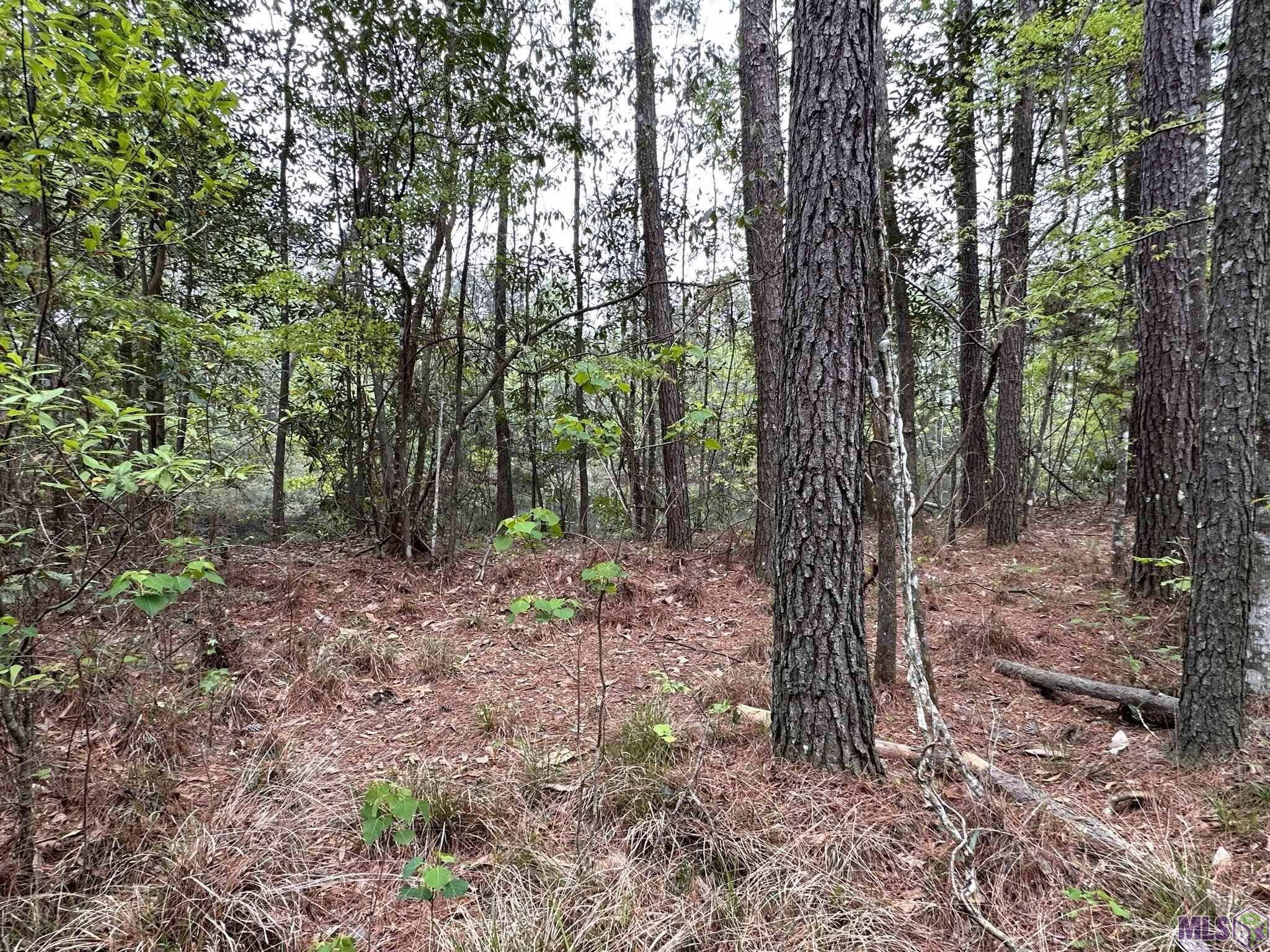 Central, LA 70791,14699 Greenwell Springs-port Hudson Rd