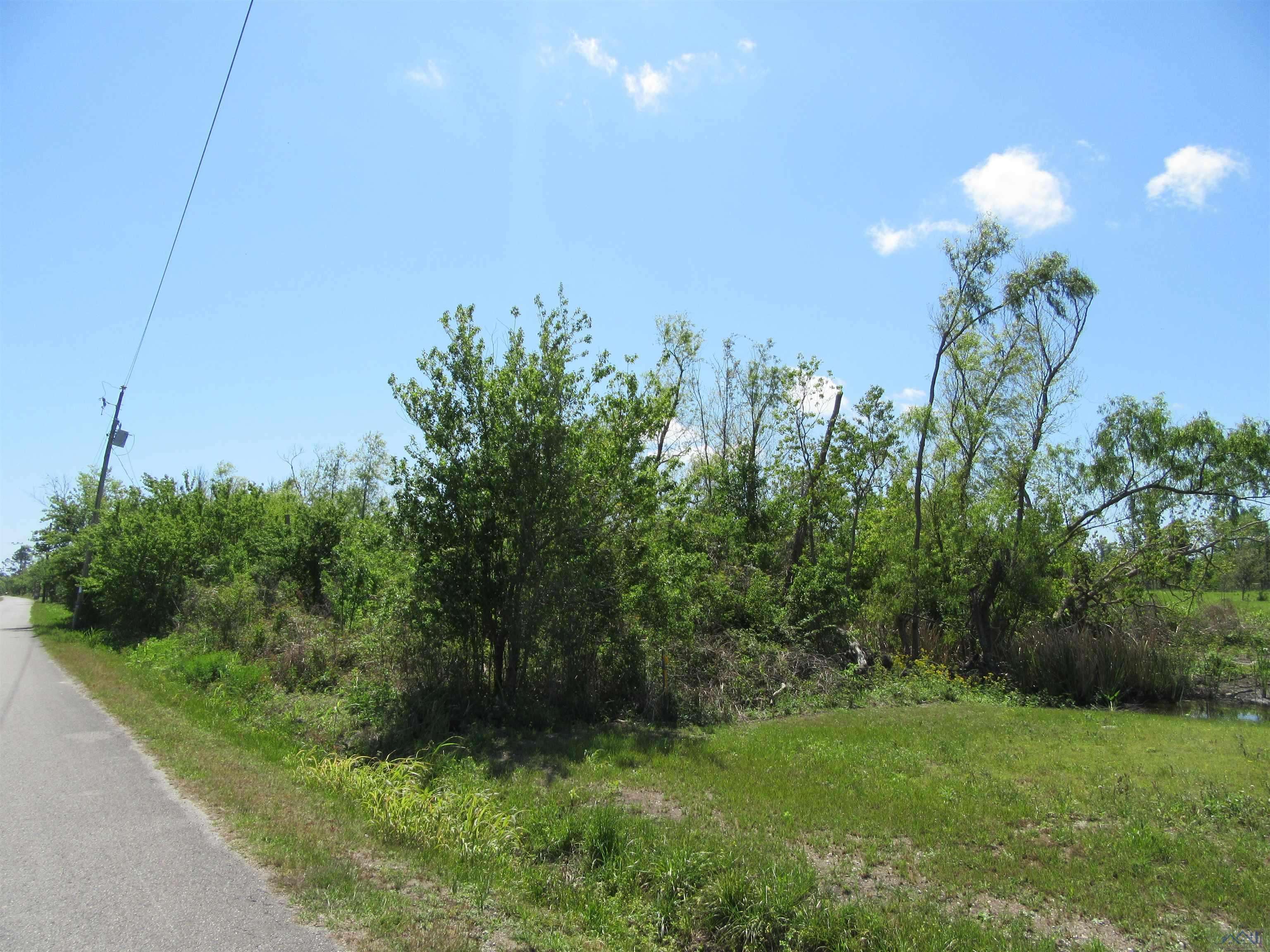 Cut Off, LA 70345,TBD (Lot 2-C) East 40th Street