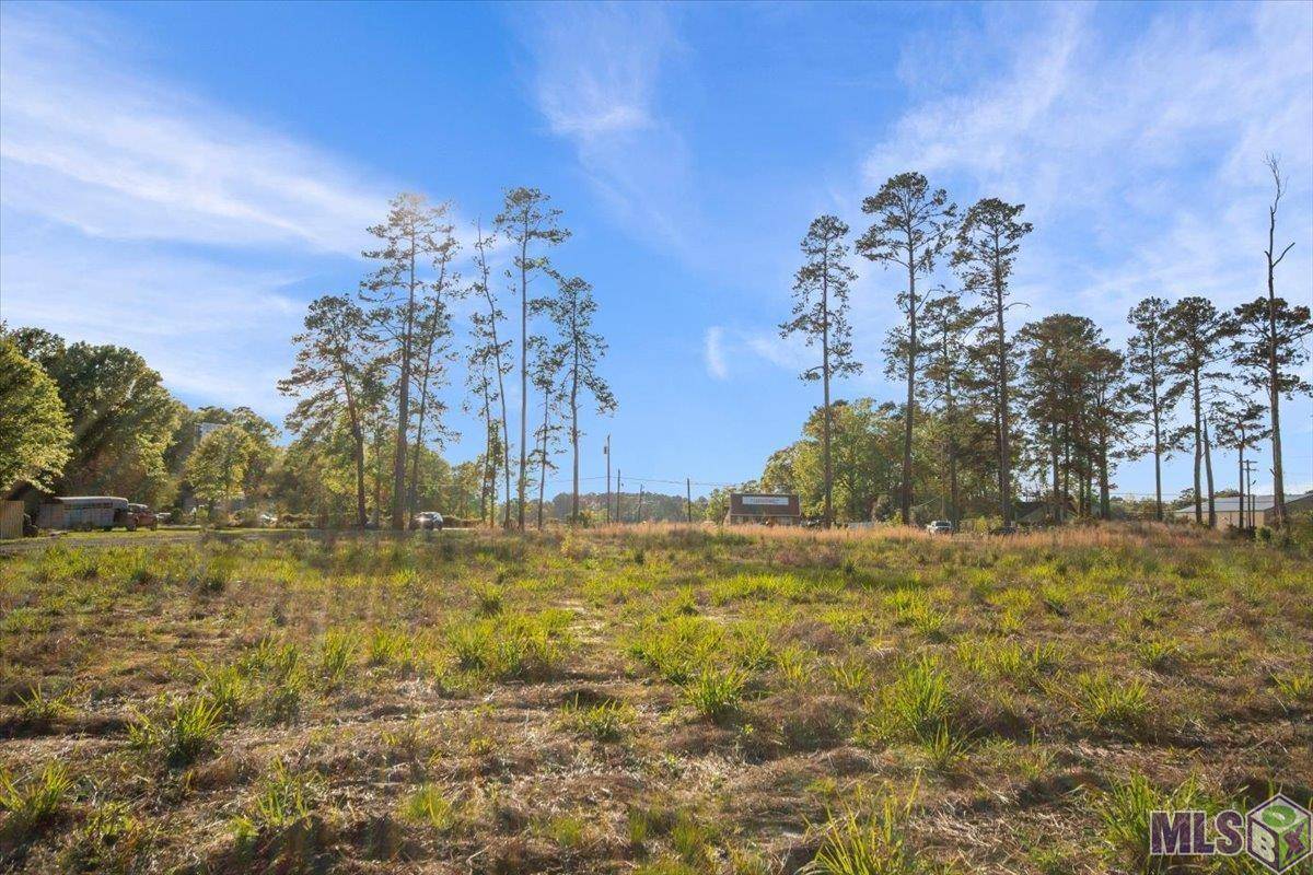 Walker, LA 70785,TBD Walker North Rd