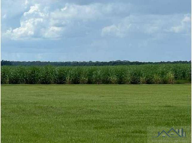 Labadieville, LA 70372,TBD Highway 308