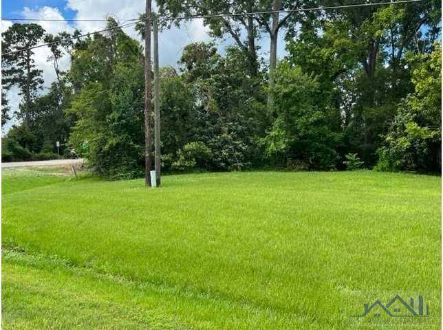 Labadieville, LA 70372,TBD Highway 308